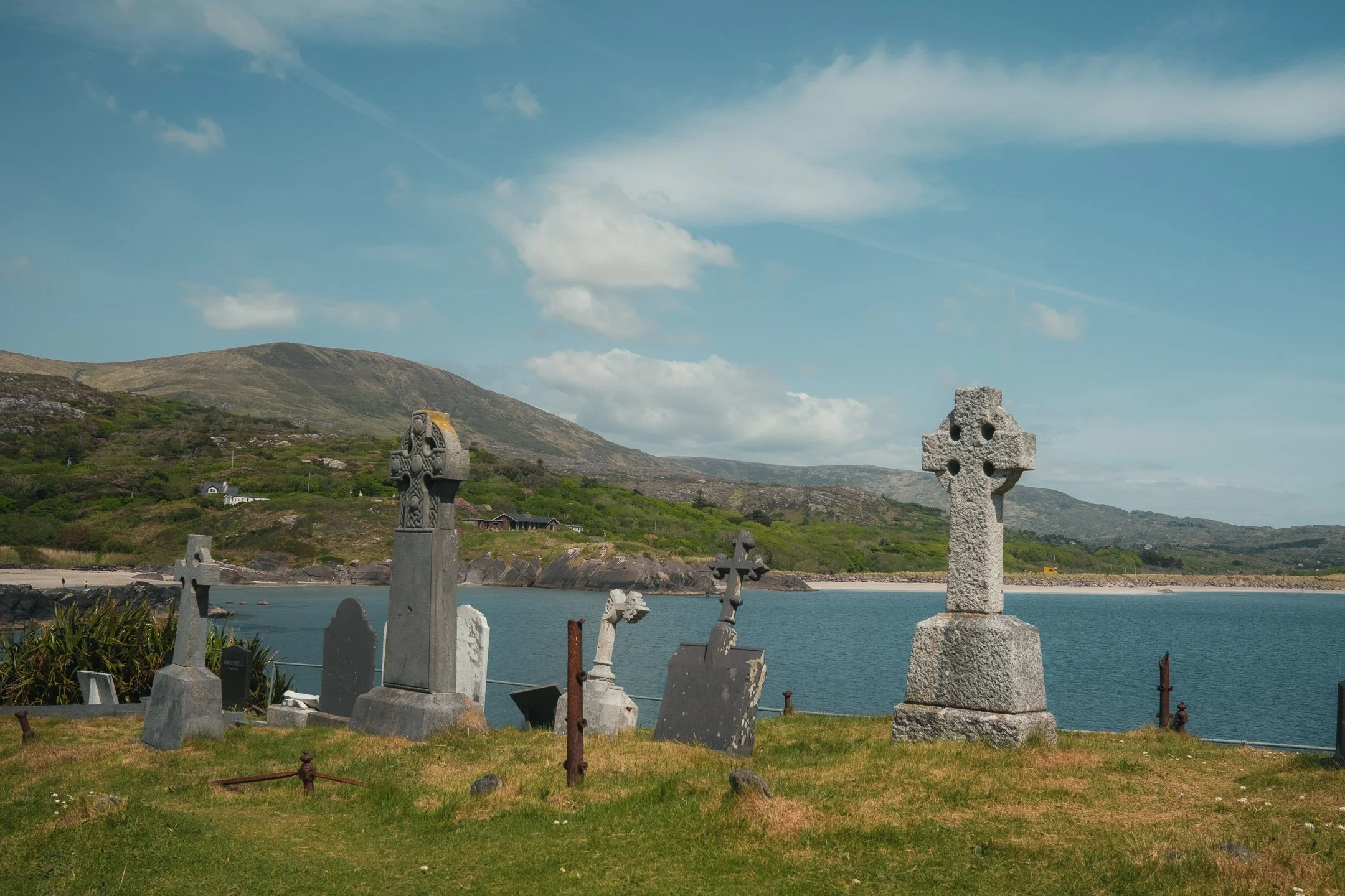 DSCF4217.jpg
