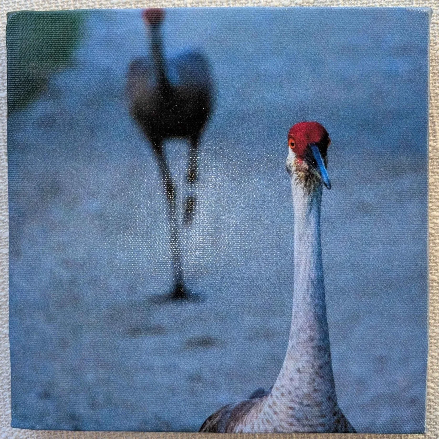 Ambushed on Sandhill 8"x8"