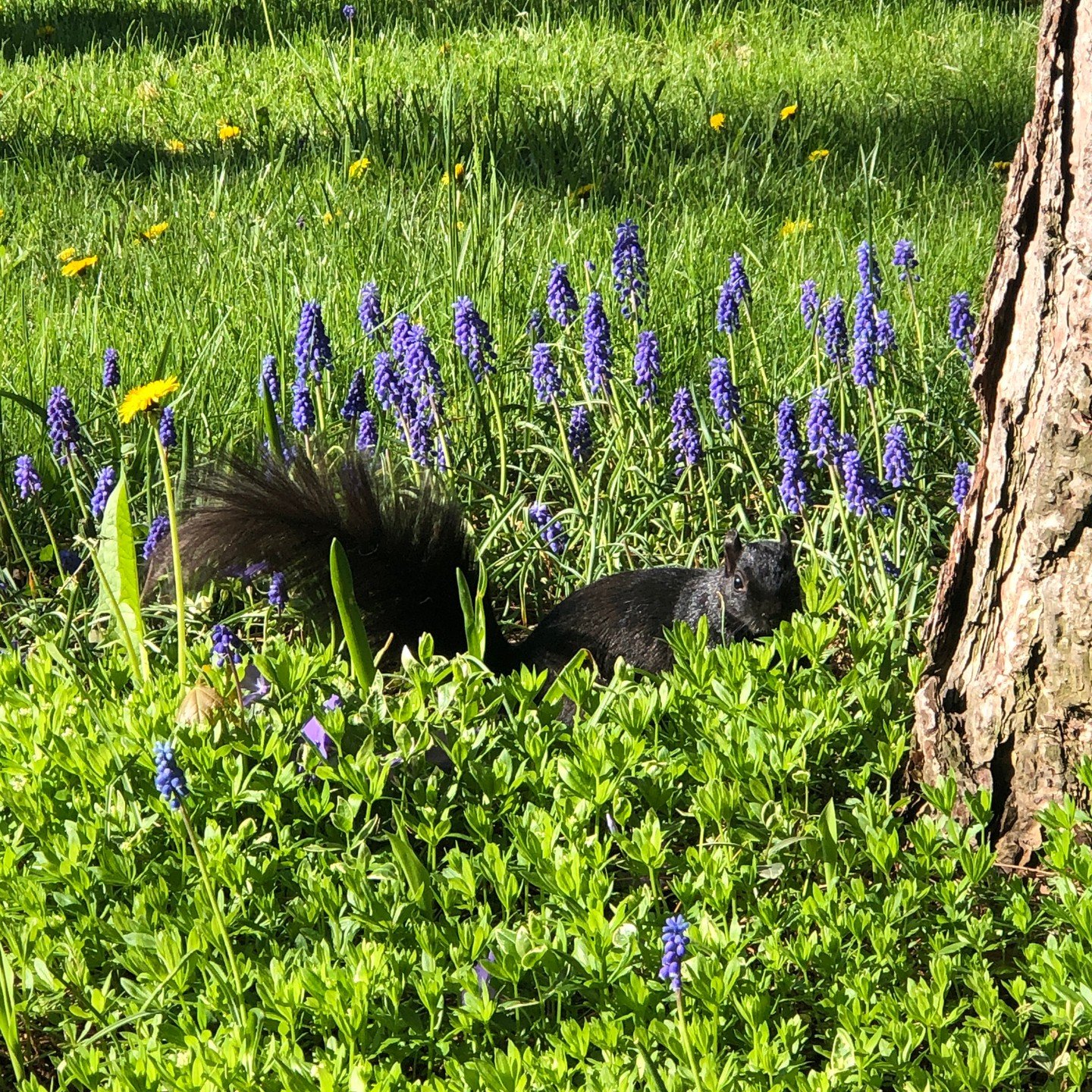 He's promised me spring is coming&ndash;for reals 🌸⁠
.⁠
.⁠
.⁠
#spring #friends #nature #optimistic