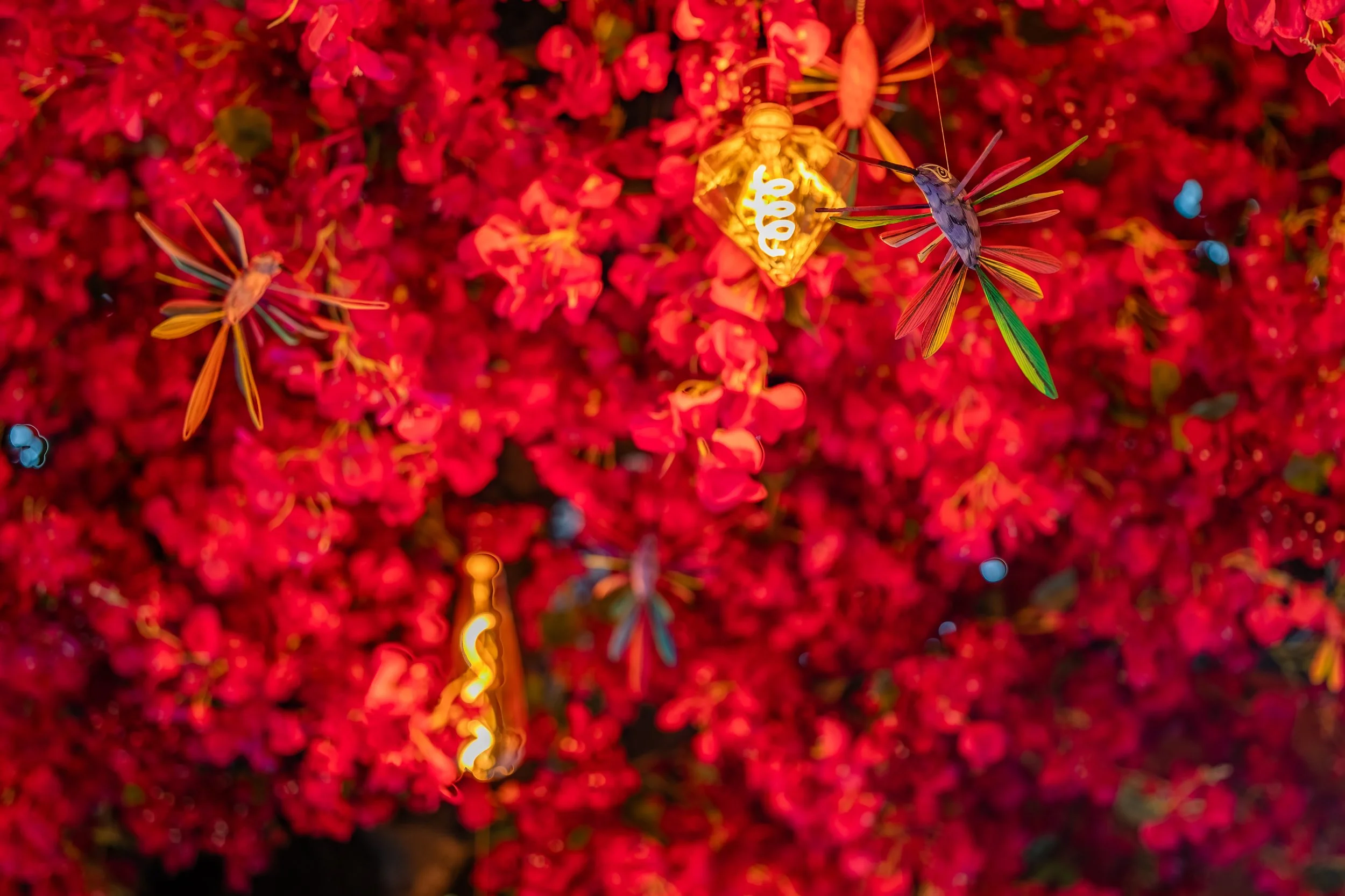 Gallery | Experience the Flavor & Fiesta at Tacos Del Cartel — tacos