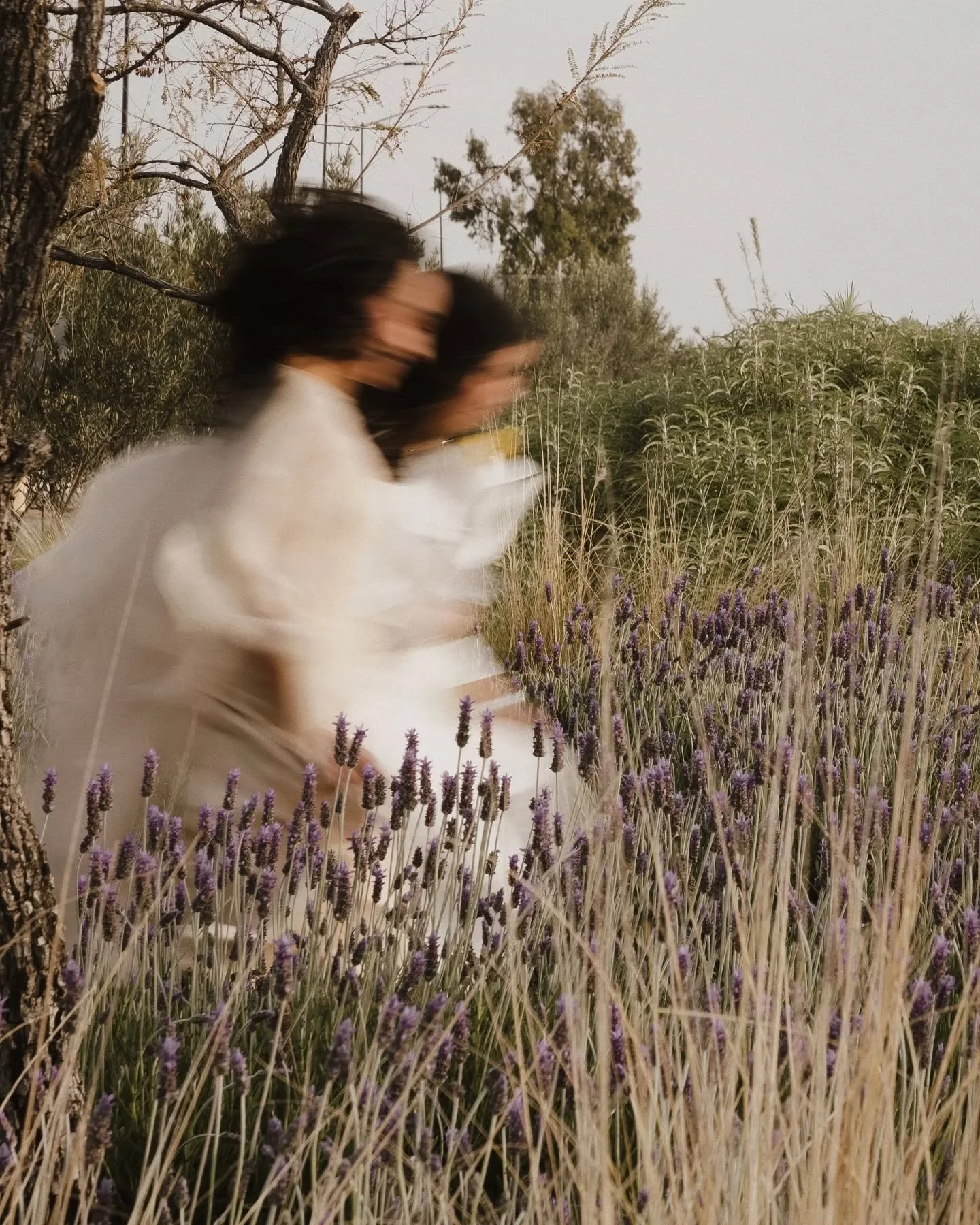 La Naturaleza es el coraz&oacute;n donde construimos espacios y cultivamos vida 🌾🍃🤍

@lacampinafrancesa &mdash; un proyecto desde el alma, para el alma. 

Styling &mdash; @theatelier_______ 
Bouquets &mdash; @a.polen__ 

#LaCampi&ntilde;aFrancesa 