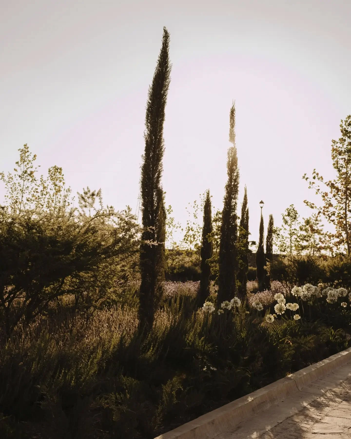 Vivir en un lugar as&iacute;. &iquest;Te imaginas? ✨️🍃
Cada calle, cada paseo provenzal, cada jard&iacute;n, cada rinc&oacute;n... todo dise&ntilde;ado y creado con la intenci&oacute;n de compartir el arte de vivir. 

@lacampinafrancesa 
Terrenos de