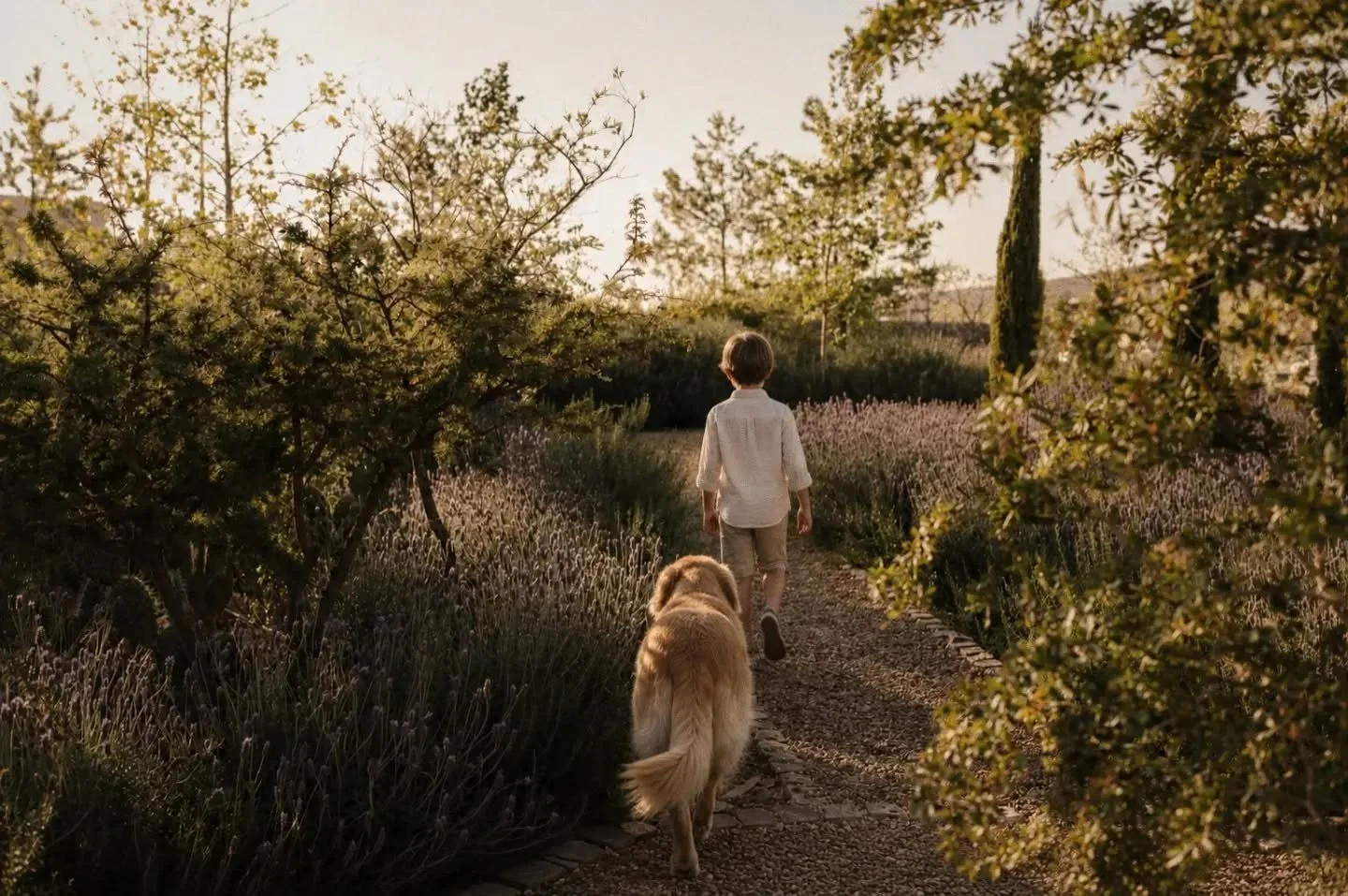 Hubo un tiempo en que caminar era suficiente.

Sin un destino. Sin prisa. S&oacute;lo el placer de descubrir un nuevo sendero, escuchar el viento entre los &aacute;rboles y dejar que la naturaleza marcara el ritmo del d&iacute;a.

Creemos que ese sig