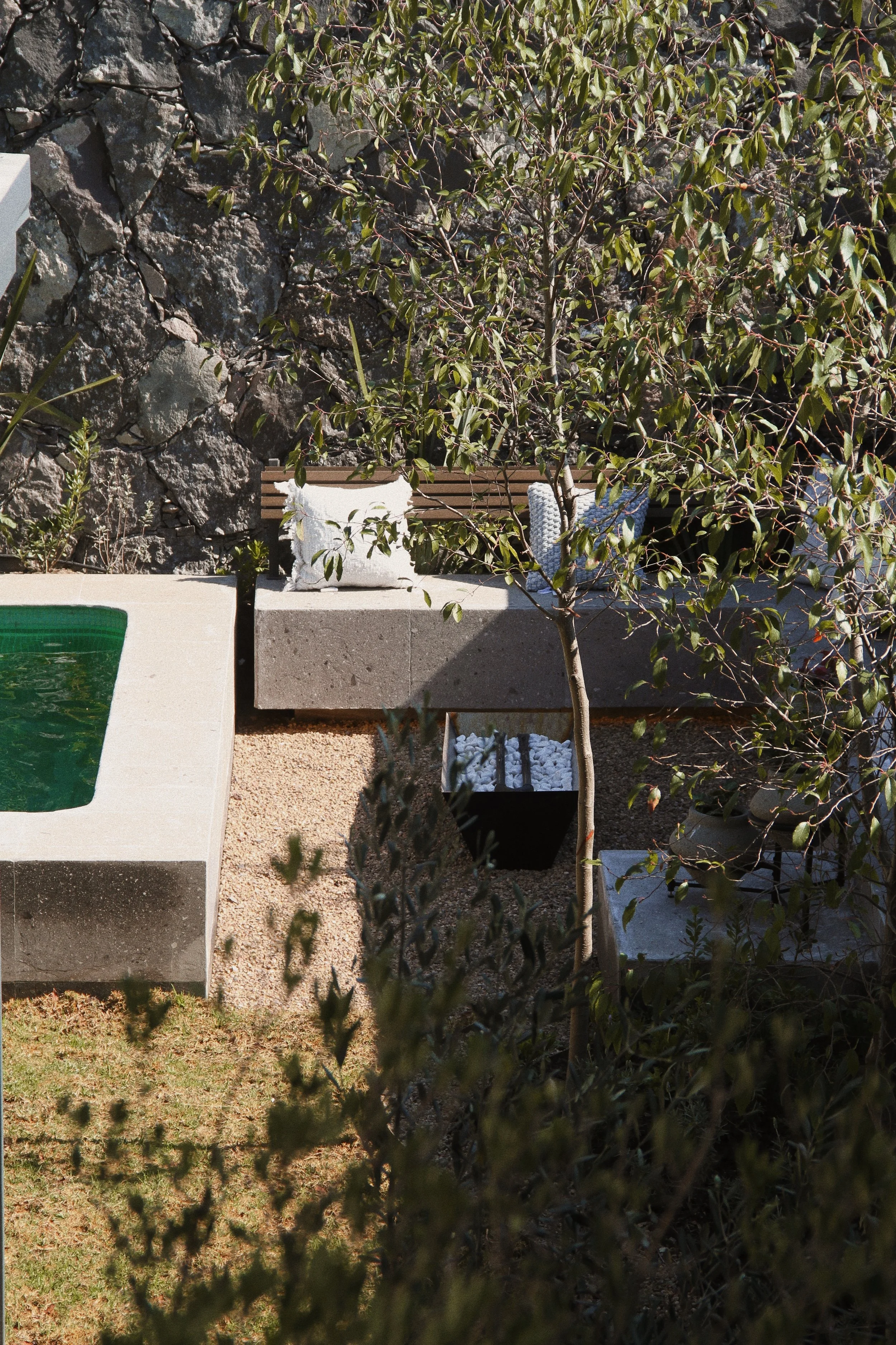 Jardín con piscina pequeña de concreto, puf de tela blanca, árbol joven, plantas verdes y piedra en el fondo.