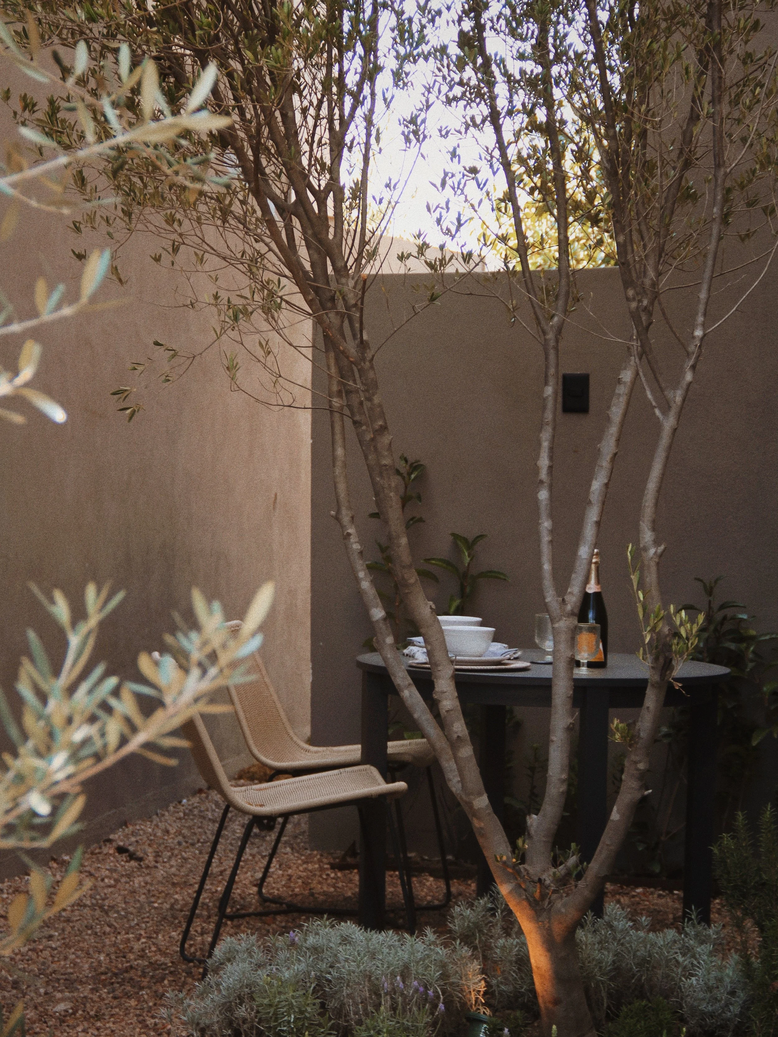 Una mesa en un patio con platos, copas y una botella de vino, rodeada de plantas y árboles, en un ambiente íntimo y elegante