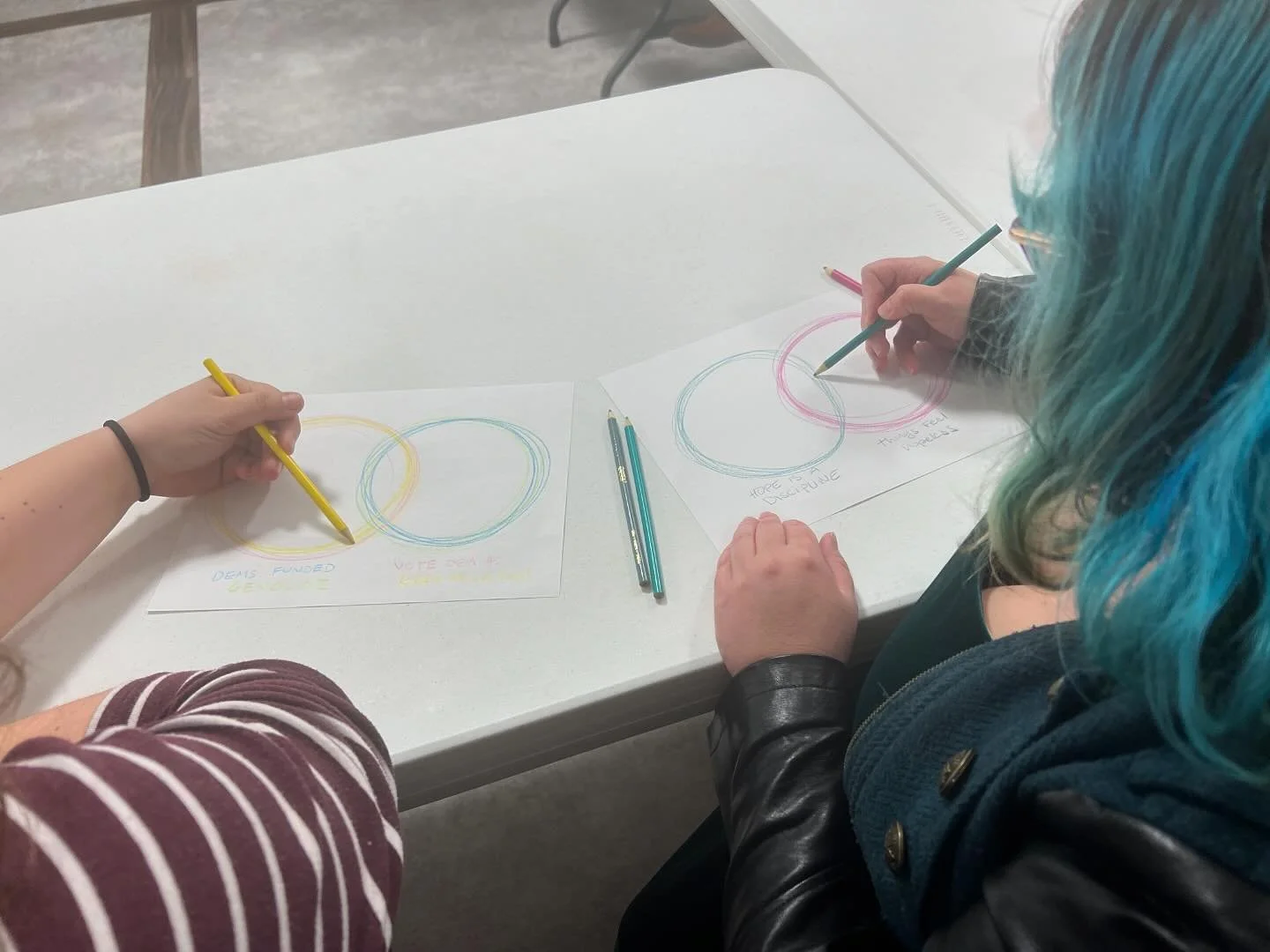During our Lafayette local activist meeting, the political education squad facilitated a session inspired by @vent_diagrams deepening our commitments to work together to hold contradicting truths towards collective liberation.  The Indy local activis