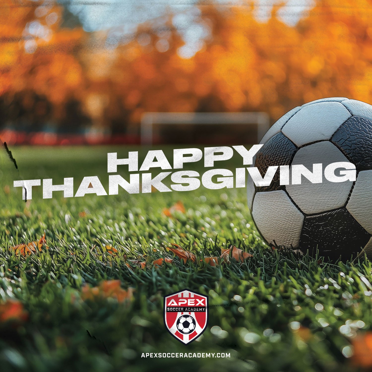 Happy Thanksgiving from Apex Soccer! 🦃⚽️ 

Wishing you a day of good food, great company, and well-deserved relaxation. 

#ApexSoccer #FamilyTime