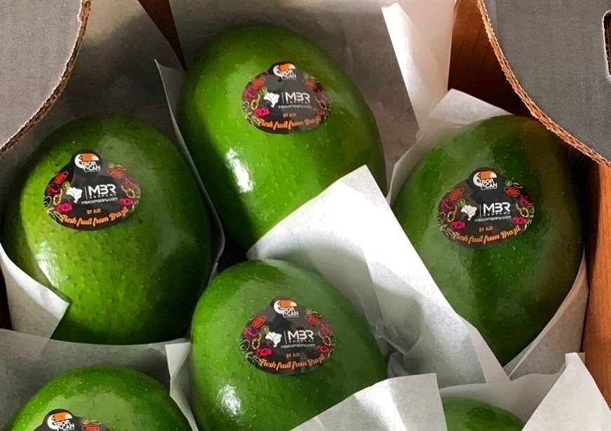 green tropical avocados with colourful sitckers saying "tropcan, fresh fruit from Brazil"