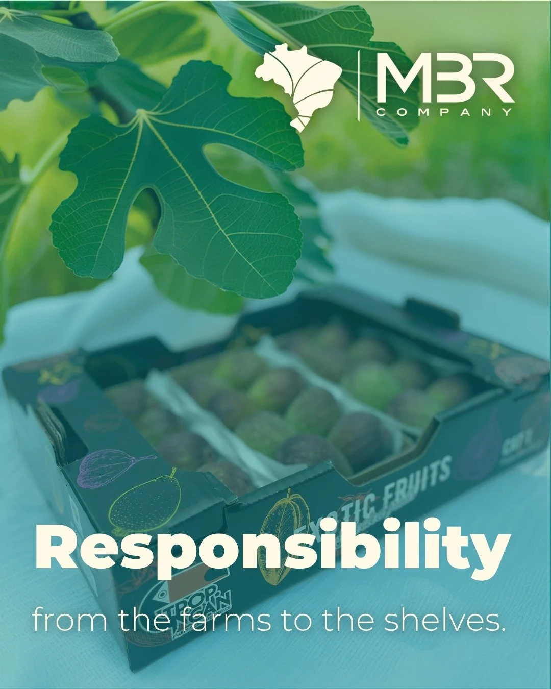 🇬🇧 Responsibility is a must in production chain. 🍃🧑&zwj;🌾

From planning to cultivation, each stage of our work follows certified standards that ensure reliability, safety, and ethical performance. This is how we turn commitment into trust, and 