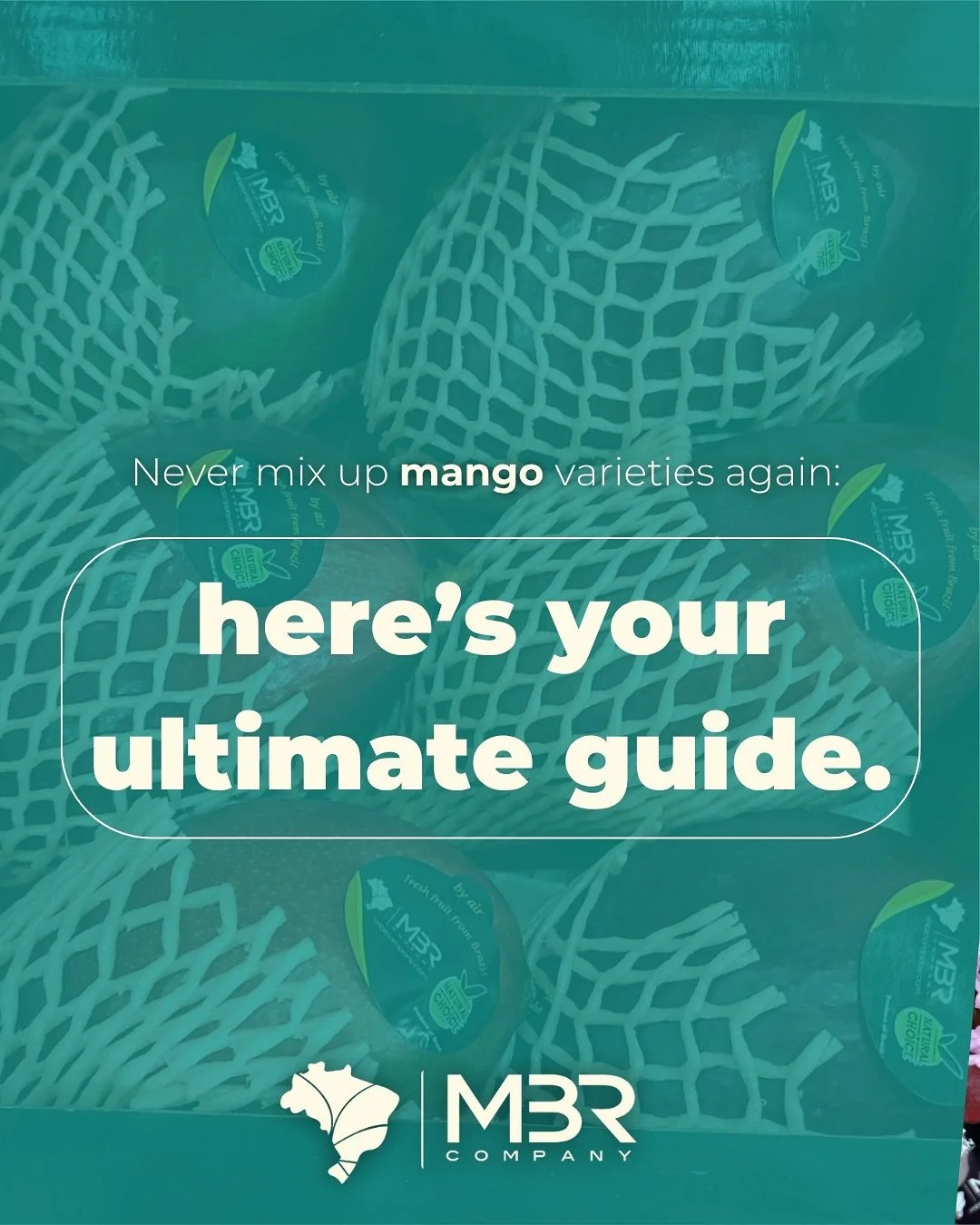 🇬🇧 Recognize them like an expert: learn to tell mango varieties apart by their colour, shape, and taste, and see how unique each one can be. 💛🥭

Swipe to learn more and find your favourite!

🇧🇷 Reconhe&ccedil;a-as como um expert: aprenda a dife