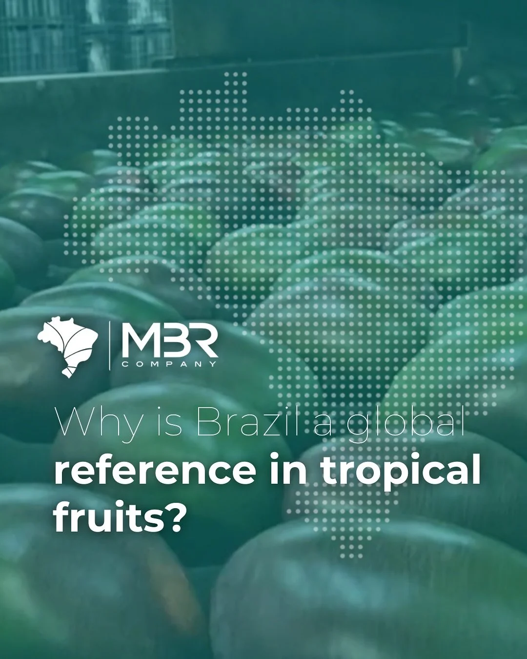 🇬🇧 Tropical flavour, global recognition.

From sun-kissed farms to tables around the world, fruits from Brazil carry the essence of our land: vibrant, natural, and full of life. 🌱🥭

MBR is a living story of dedication and excellence that reaches 