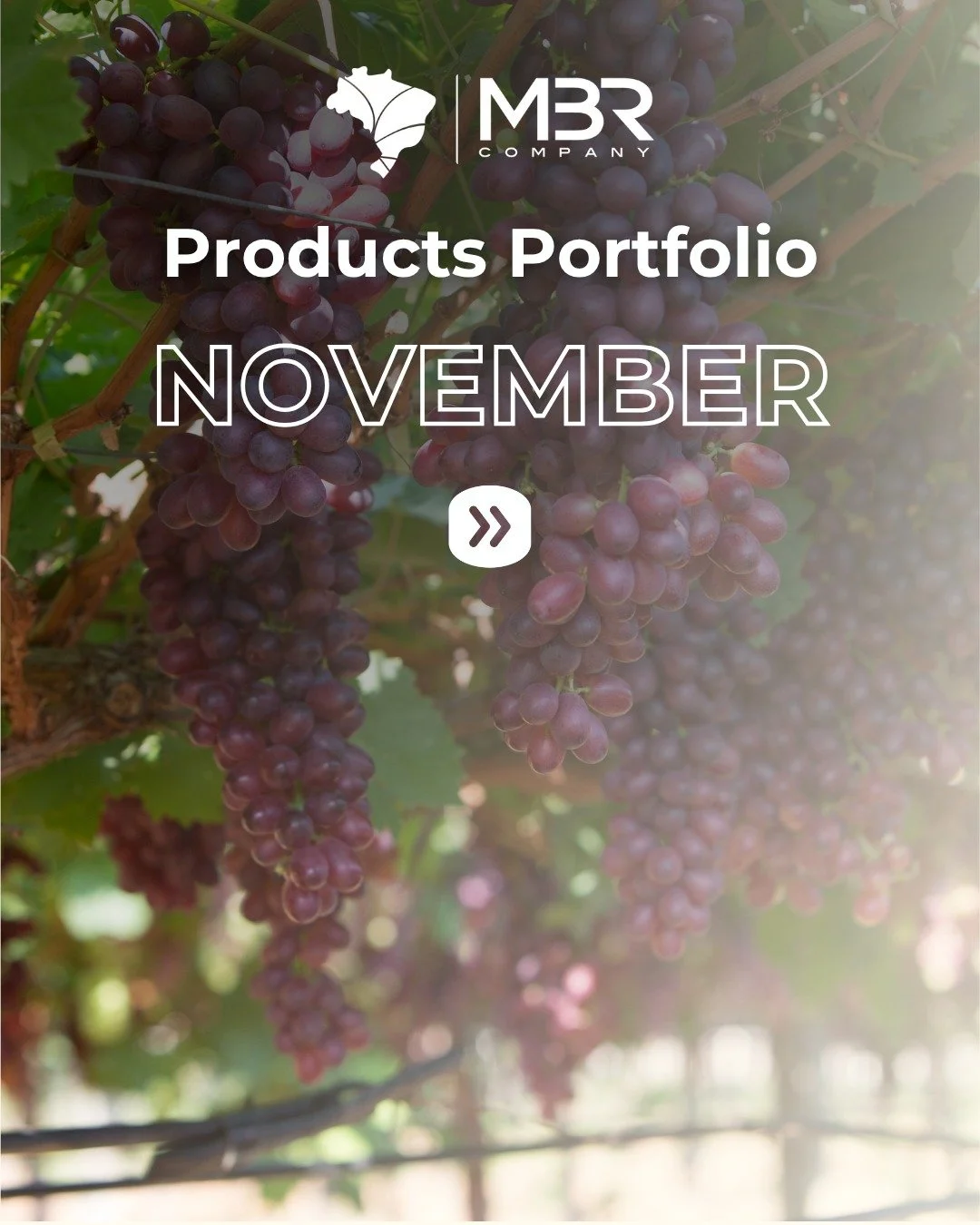 🆕 Check out the news! 👀📢

Every month, we update you about our available fruits ✨ These are the ones we&rsquo;ll load in October:
🌱 Grapes
🌱 Limes
🌱 Mango palmer, tommy, kent, keitt &amp; spade
🌱 Figs
🌱 Rei Melon (yellow honeydew, galia, cant