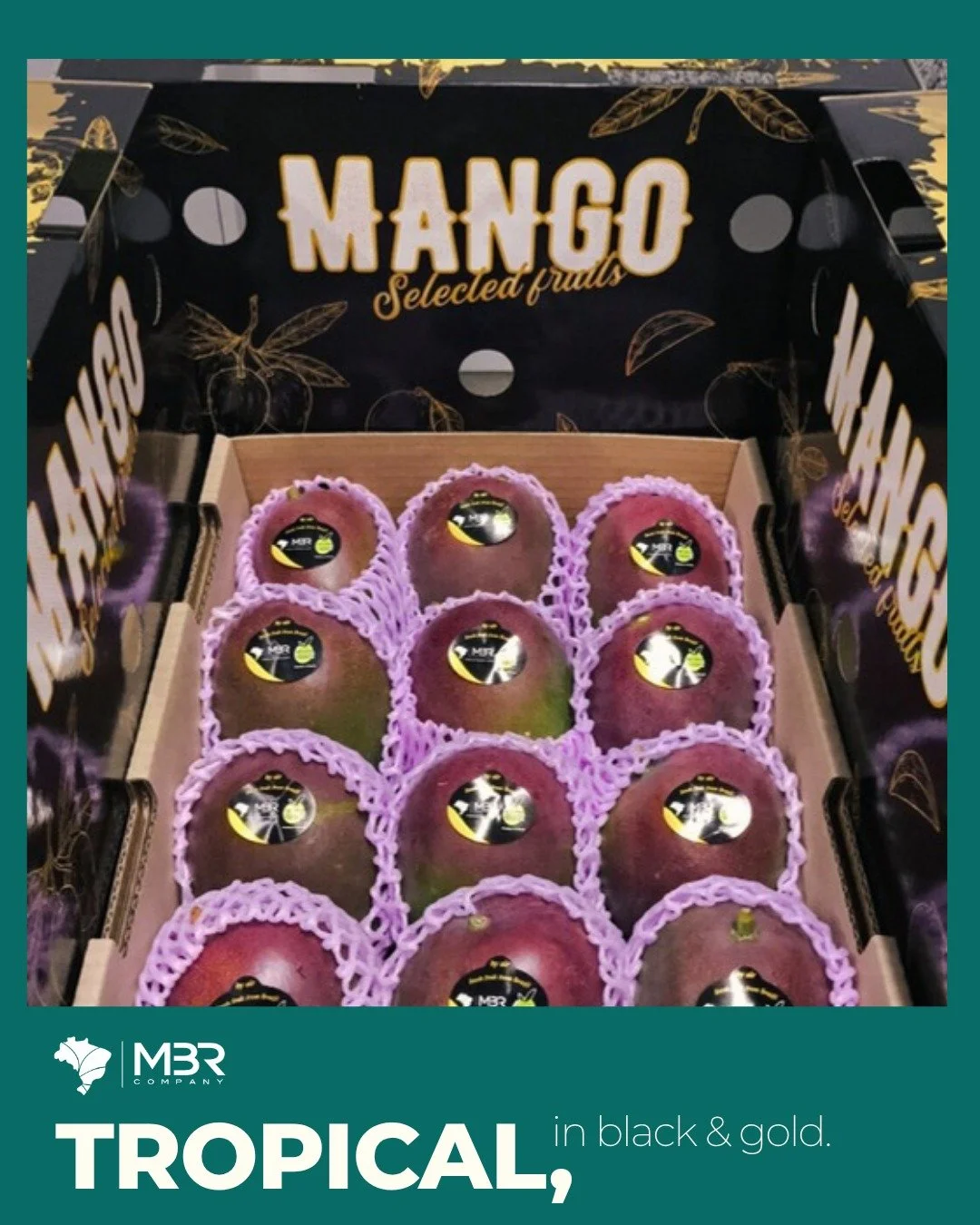 🇬🇧 Premium isn&rsquo;t just about flavor: it&rsquo;s about experience. 💎 Tropcan mango carton speaks luxury, without saying a word. 📦🥭

Meet the world of tropical fruits exports with MBR. Text us 😉

🇧🇷 Premium n&atilde;o &eacute; apenas sobre