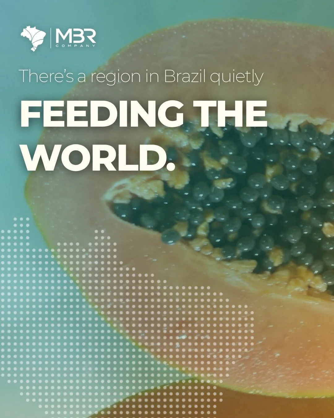 🇬🇧🌎 The world knows Brazilian fruits, but did you know that a relevant part of it comes from one unique region?

With unique climate conditions, advanced farming techniques, and a passionate community of growers, the Northeast region of Brazil lea