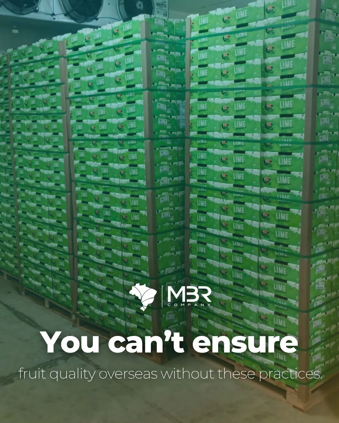 🇬🇧 From the farms to the shelves, quality is more than a goal, but a process we work on every day to make it always better.

Precision, attention and responsibility are musts in the export process, and MBR knows them very well.

Text us if you're l