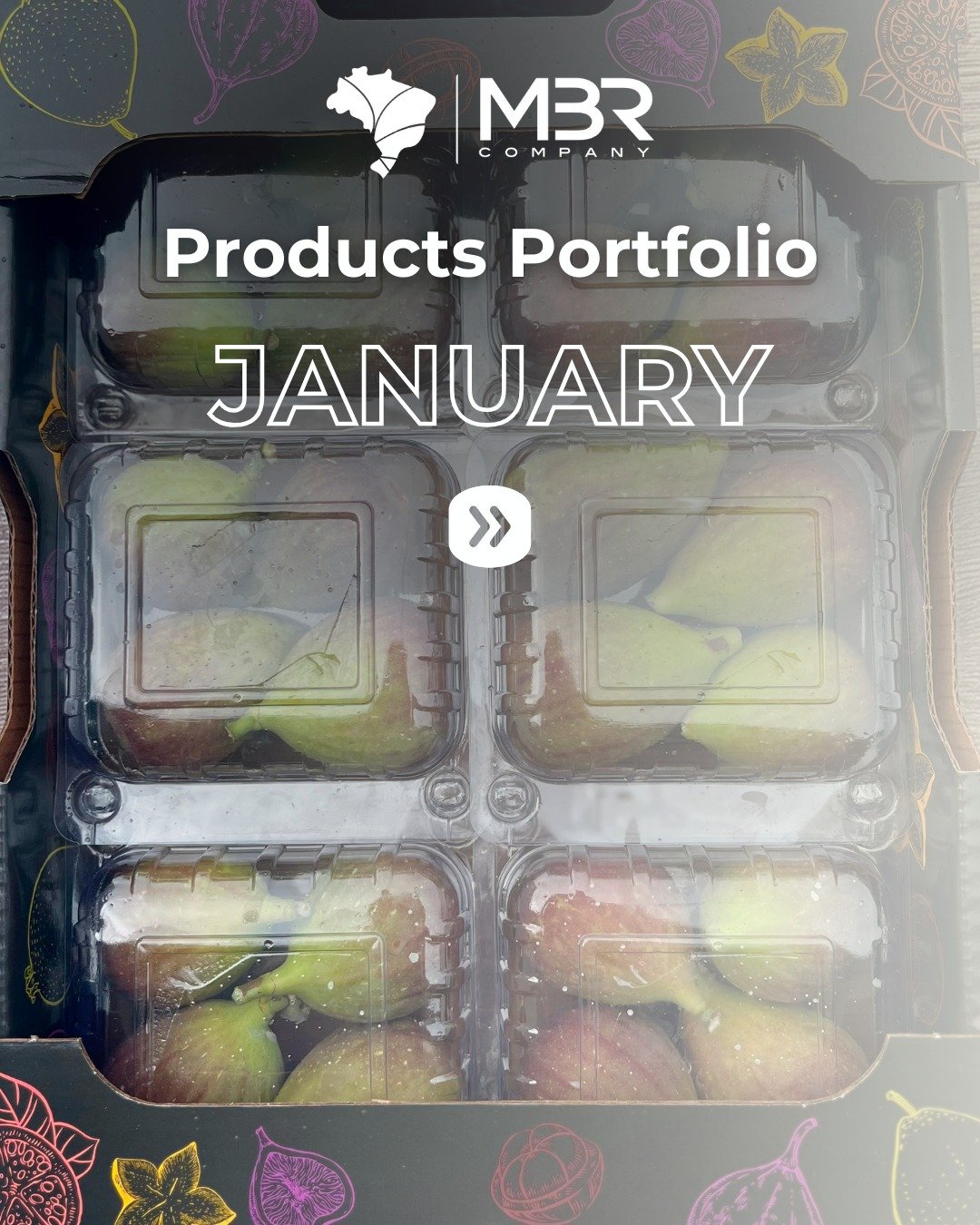 👀📢 Your chance to start 2026 with the best selection ✨ Find out more about our January portfolio!
🌱 Figs
🌱 Grapes
🌱 Limes
🌱 Palmer &amp; tommy mangoes
🌱 Tropical avocado
🌱 Rei Melon (yellow honeydew) &amp; Rei Watermelon
🌱 Melon &amp; mini w