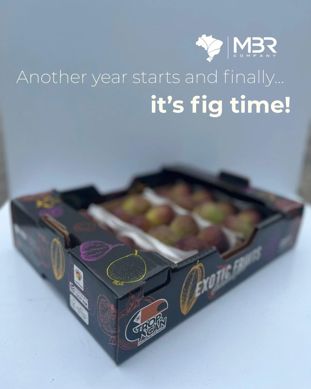 🇬🇧☀️ Summer in Brazil means one thing: purple fig season is officially on! Sweet and ready to export, our figs are now at their harvesting peak and waiting for your order.

Contacts and full portfolio in bio. #purplefig #fruitsfrombrazil #abrafruta