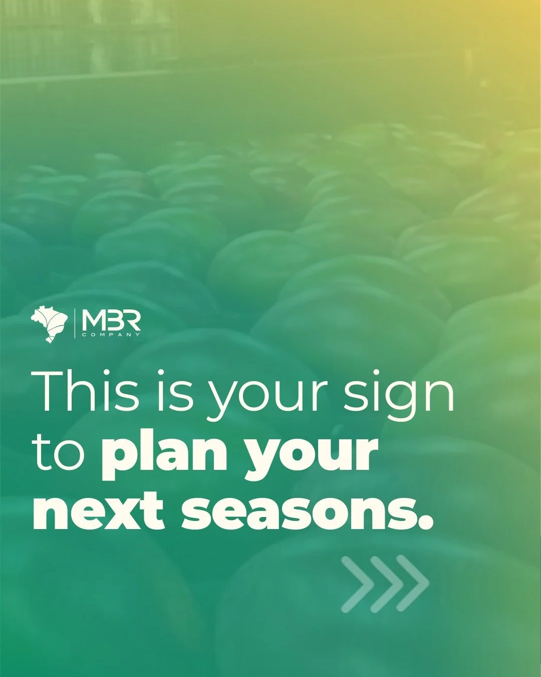 🇬🇧/🇪🇸
🇬🇧 Let&rsquo;s get real about planning: it is what drives real results when it comes to fresh fruit exports.

🎯 Clear goals, seasonal analysis, and strong team alignment are all key to building a healthy year ahead. But only with the rig