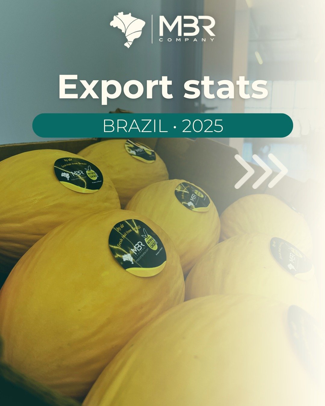 🇬🇧 Brazil keeps delivering! In 2025, Brazilian fruit exports broke records for the third year in a row. More volume, broader reach and a growing economy 💚📈

From mangoes, melons to grapes and limes, Brazil stands as a strategic origin for importe