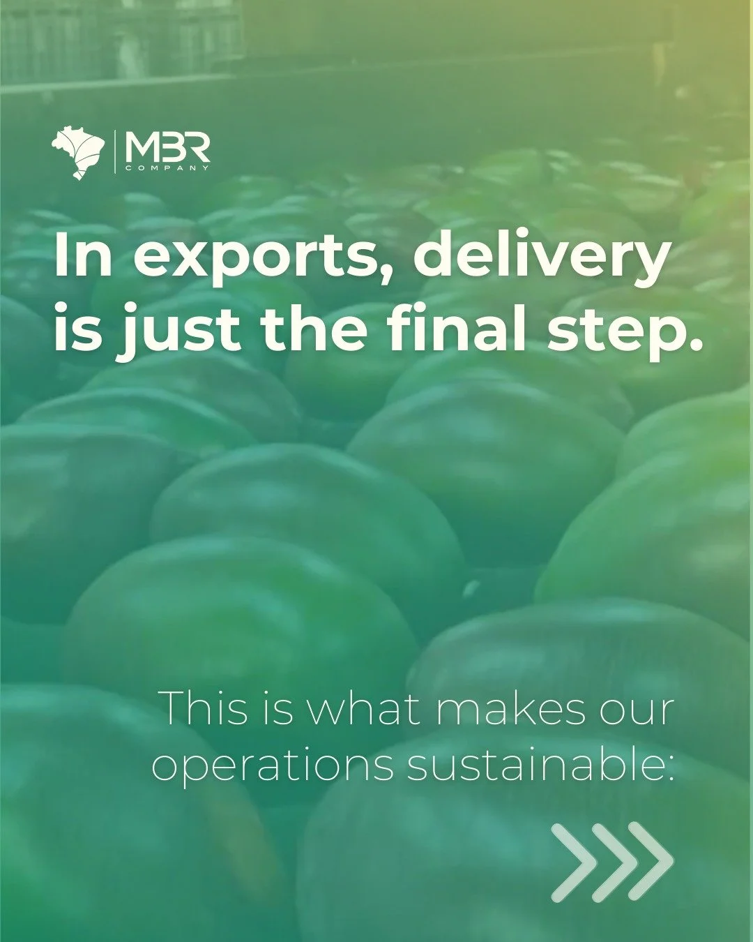 🇬🇧 In the international market, results are built long before the product arrives. At MBR, we act as a strategic connector, aligning producers, buyers and opportunities. This approach is what allows us to operate across different business models wh