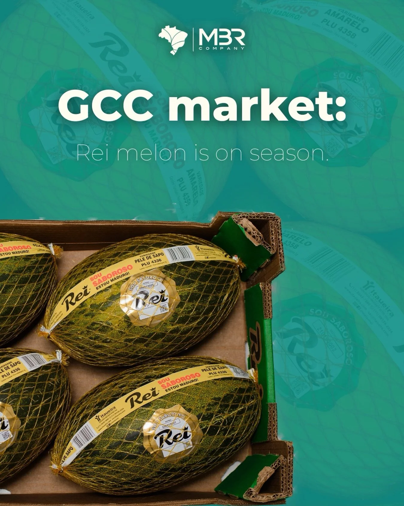 🇬🇧🍈 GCC Market: Rei Melon from Brazil combines the best of premium supply flavour and quality, key elements for partners who prioritize excellence and reliability. Meeting the highest standards expected in demanding markets, it delivers both fresh