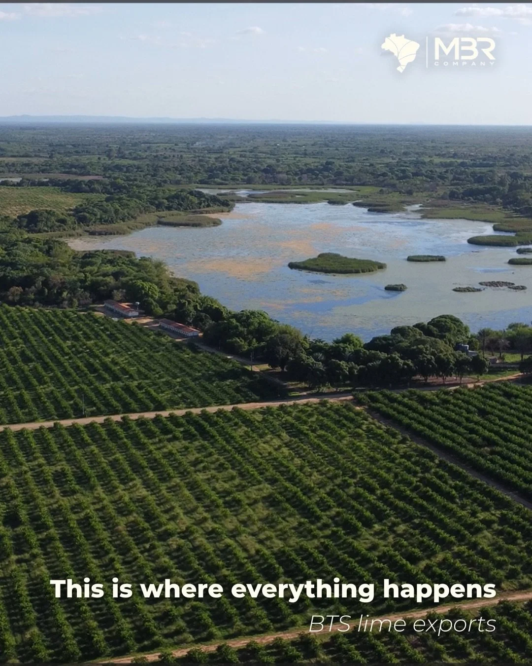 🇬🇧 All made in the details. 🔎

Here&rsquo;s a closer look at the process behind our lime exports to Europe: operational discipline and ethical commitment, structured operations, monitored handling, and a team committed to delivering with stability