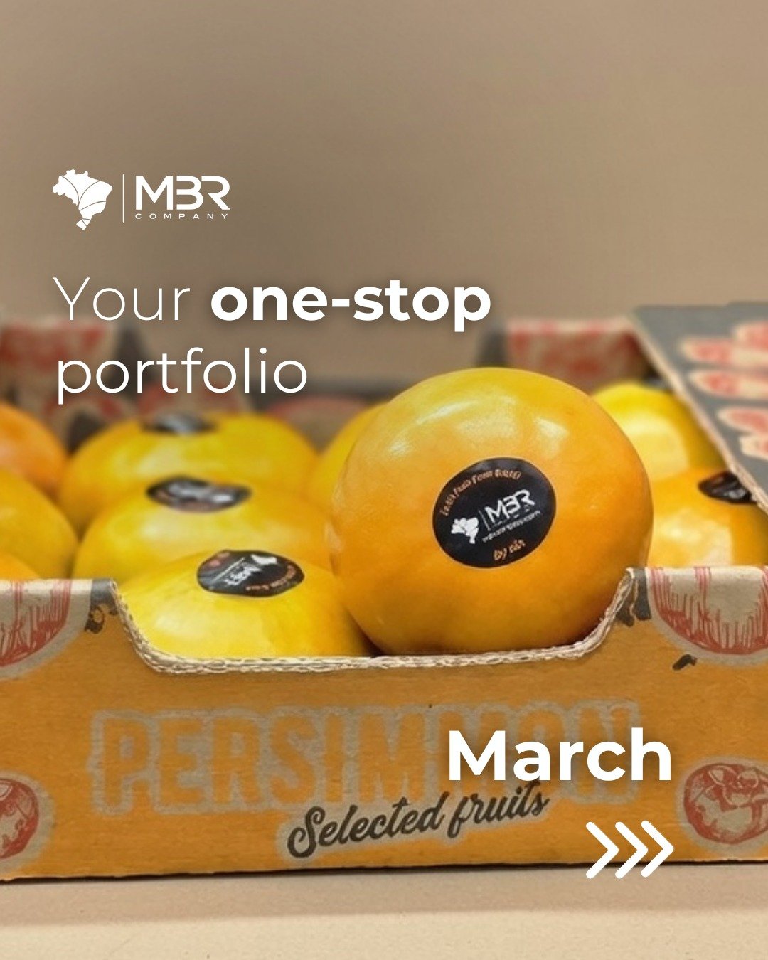 📢 Kaki season is on! Find out more about our March portfolio:
🌱 Kaki
🌱 Atemoya
🌱 Figs
🌱 Grapes
🌱 Limes 4 kg and 4,5 kg
🌱 Palmer &amp; tommy mangoes
🌱 Tropical avocado
🌱 Melon &amp; mini watermelon
🌱 Papaya formosa &amp; golden
🌱 Ginger
🌱 