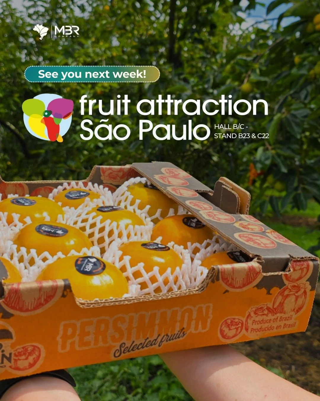 🇬🇧 See you next week! We&rsquo;ll be at Fruit Attraction S&atilde;o Paulo from the 24th to the 26th, in one more edition of such an important event for us to talk about fresh fruit exports from Brazil.

🇪🇸 &iexcl;Nos vemos la pr&oacute;xima seman