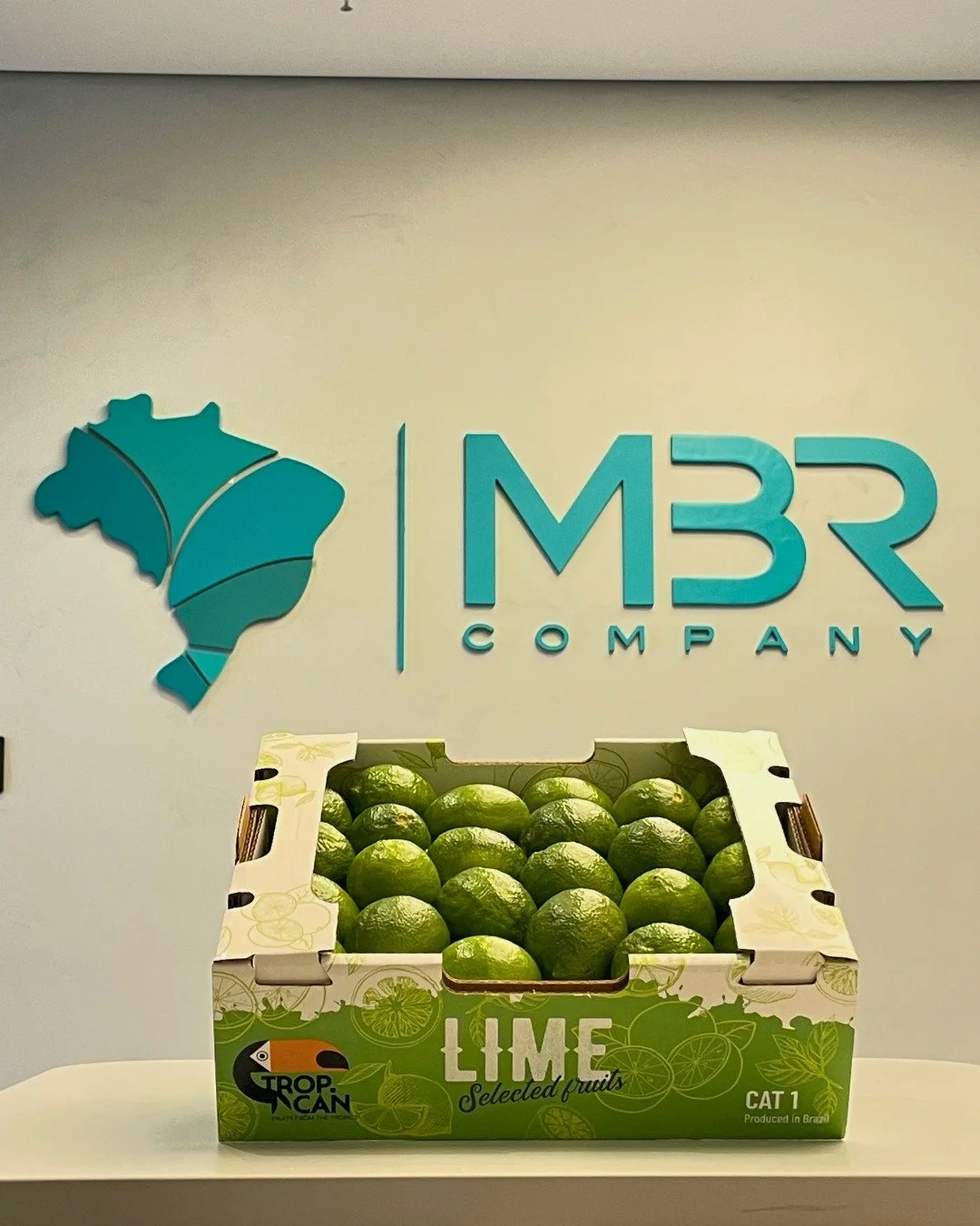 🇬🇧 Fresh, fast, and reliable: it's the season for limes by sea. Brazil's Tahiti lime is the result of decades of agricultural expertise, and our limes cross continents maintaining the quality that your customers demand. 🌊🚢

📩 DM us or visit the 