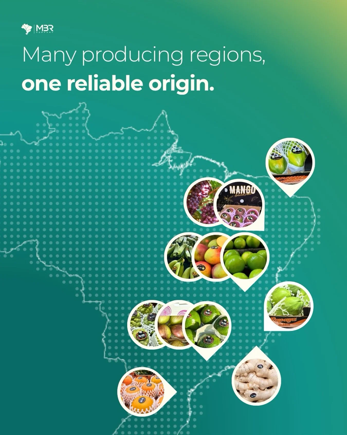 🇬🇧 Brazil is vast, so finding the right supplier isn&rsquo;t easy.

We&rsquo;ve spent years mapping the regions, building relationships with the right farmers, and understanding exactly what each origin delivers. So when you source through us, you&