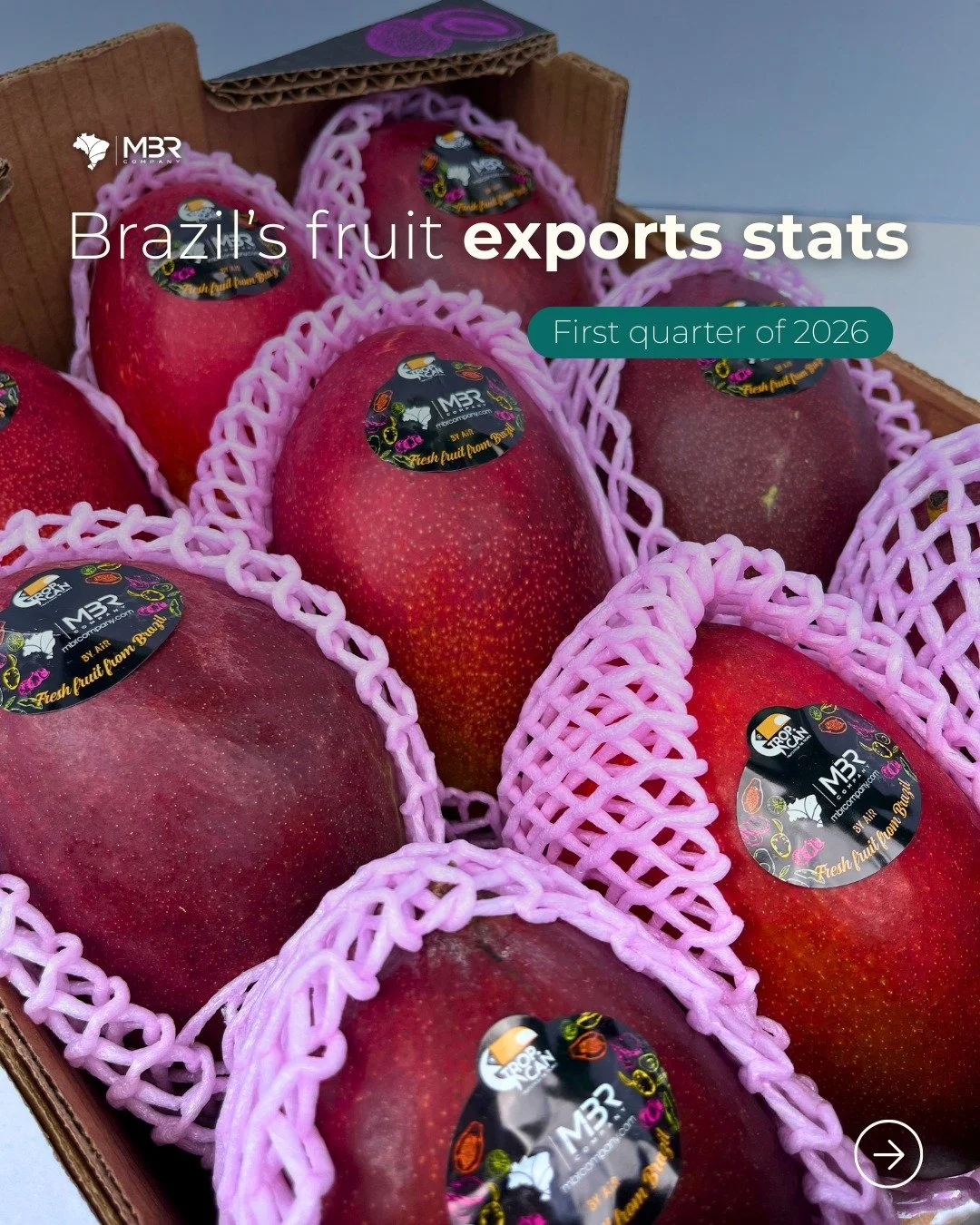🇬🇧 Brazil's fruit exports grew 25% in value in Q1 2026. This data confirms what we&rsquo;ve already noticed: Brazilian tropical and subtropical fruits are gaining ground across global markets, in value, in volume, and in consistency.

📩 If you're 