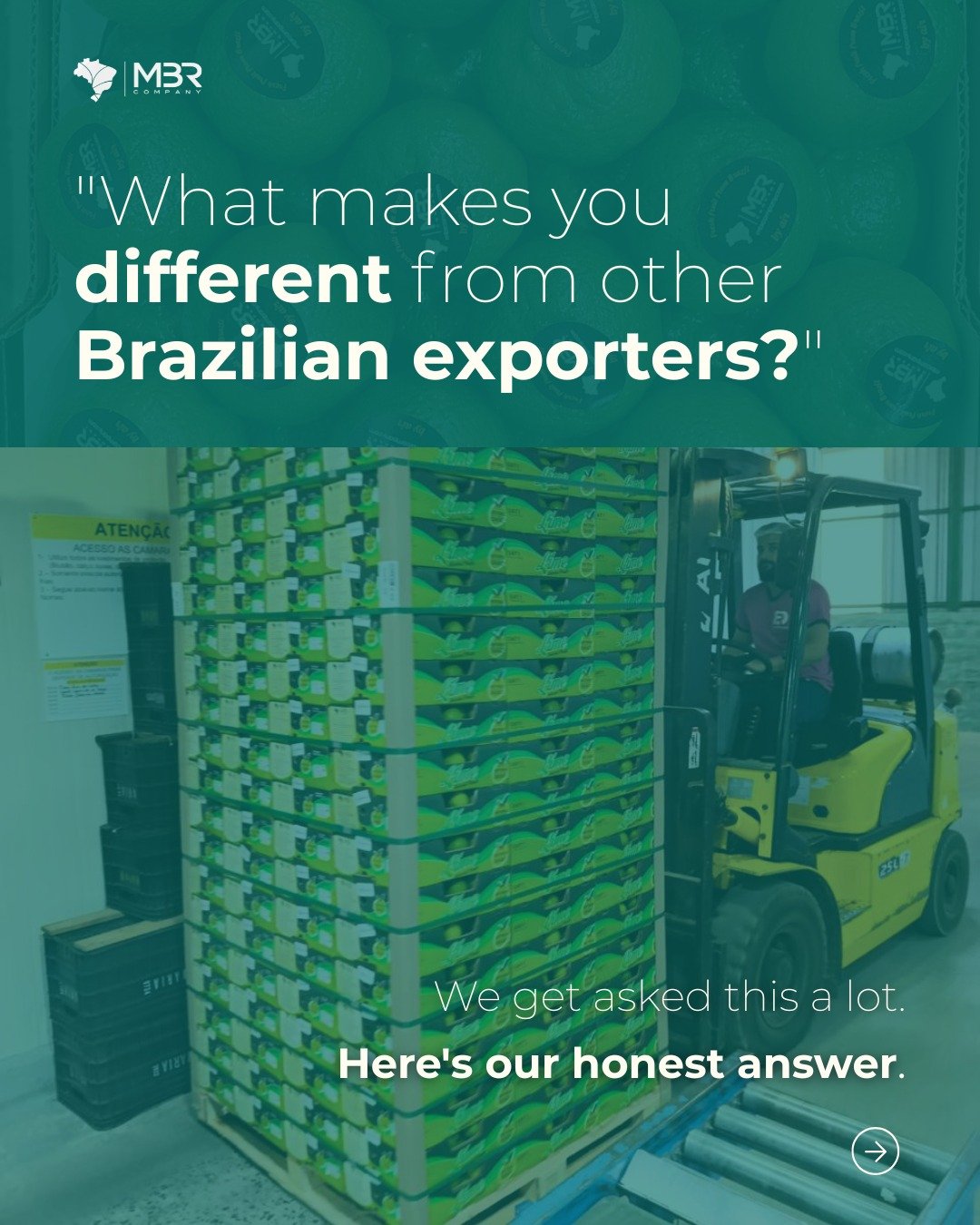 🇬🇧 What makes a Brazilian exporter worth working with?

Any fruit exporter can tell you they have mangoes in season. The difference is in what happens during the shipment and when something goes wrong. We&rsquo;re here to answer the question that w