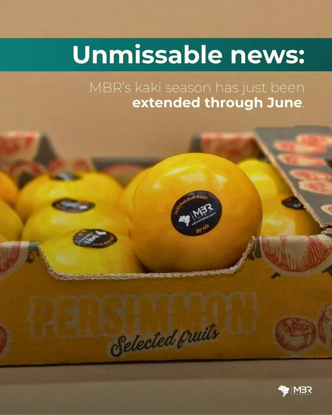 🇬🇧 Positive update for kaki buyers: 2026 Brazil&rsquo;s season has been extended until June.

For anyone still looking at programs or additional volumes, this opens up a larger export window than the typical harvest. This is your chance to import f