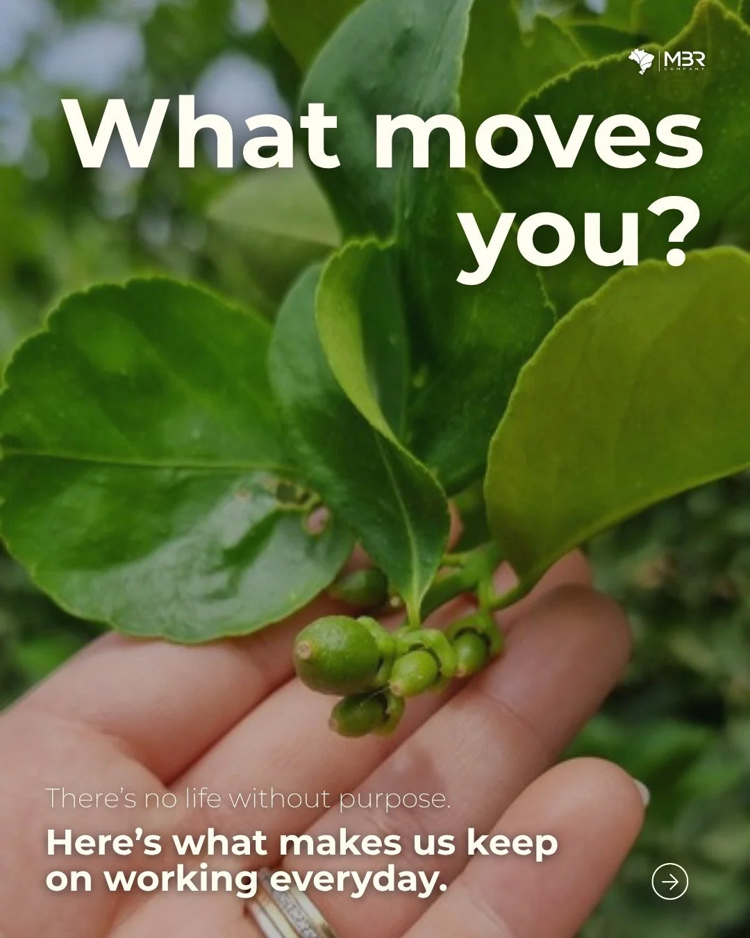 🇬🇧 What moves us?

Helping buyers access Brazilian fruit with less complexity, and giving them a support that they can rely on from start to finish are just the surface: swipe to learn more.

🇪🇸 &iquest;Qu&eacute; nos mueve?

Ayudar a los comprad