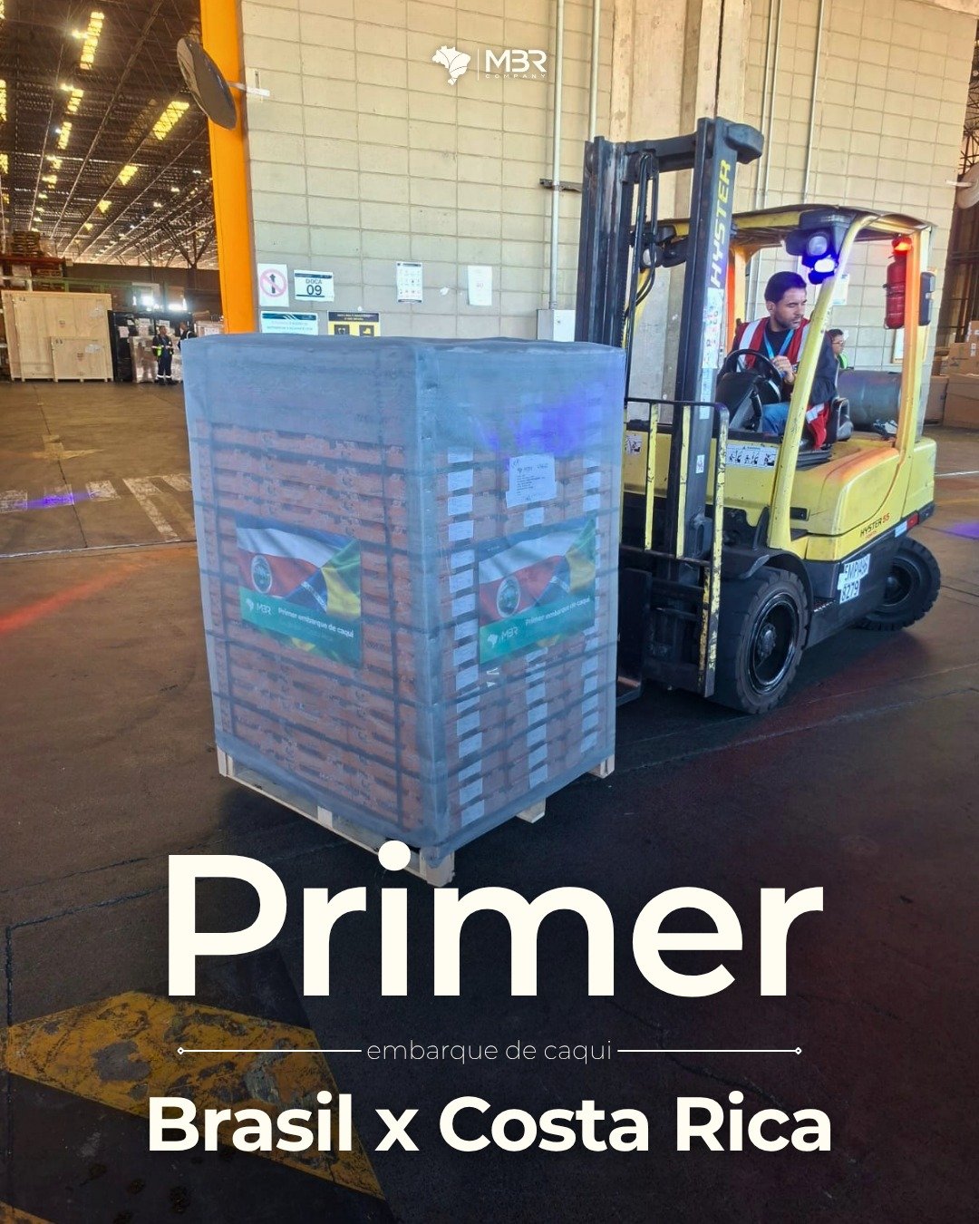 🇪🇸 &iexcl;Despu&eacute;s de 22 a&ntilde;os de experiencia, seguimos cruzando nuevas fronteras! MBR, MBR, adem&aacute;s de ser uni de los principales exportadores brasile&ntilde;os de kaki en 2026, ahora es el primer exportador de kaki de Brasil hac
