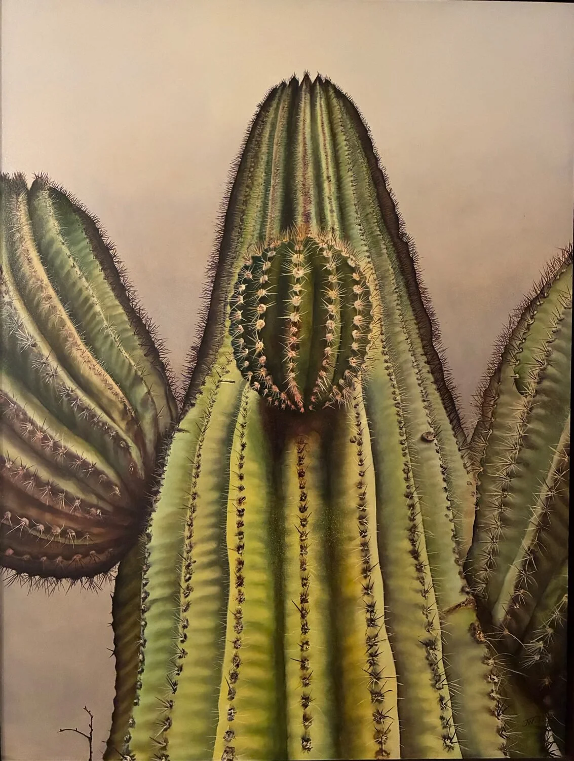 VISIT THE SHOW! SAL's Annual Statewide Juried Show is LIVE!