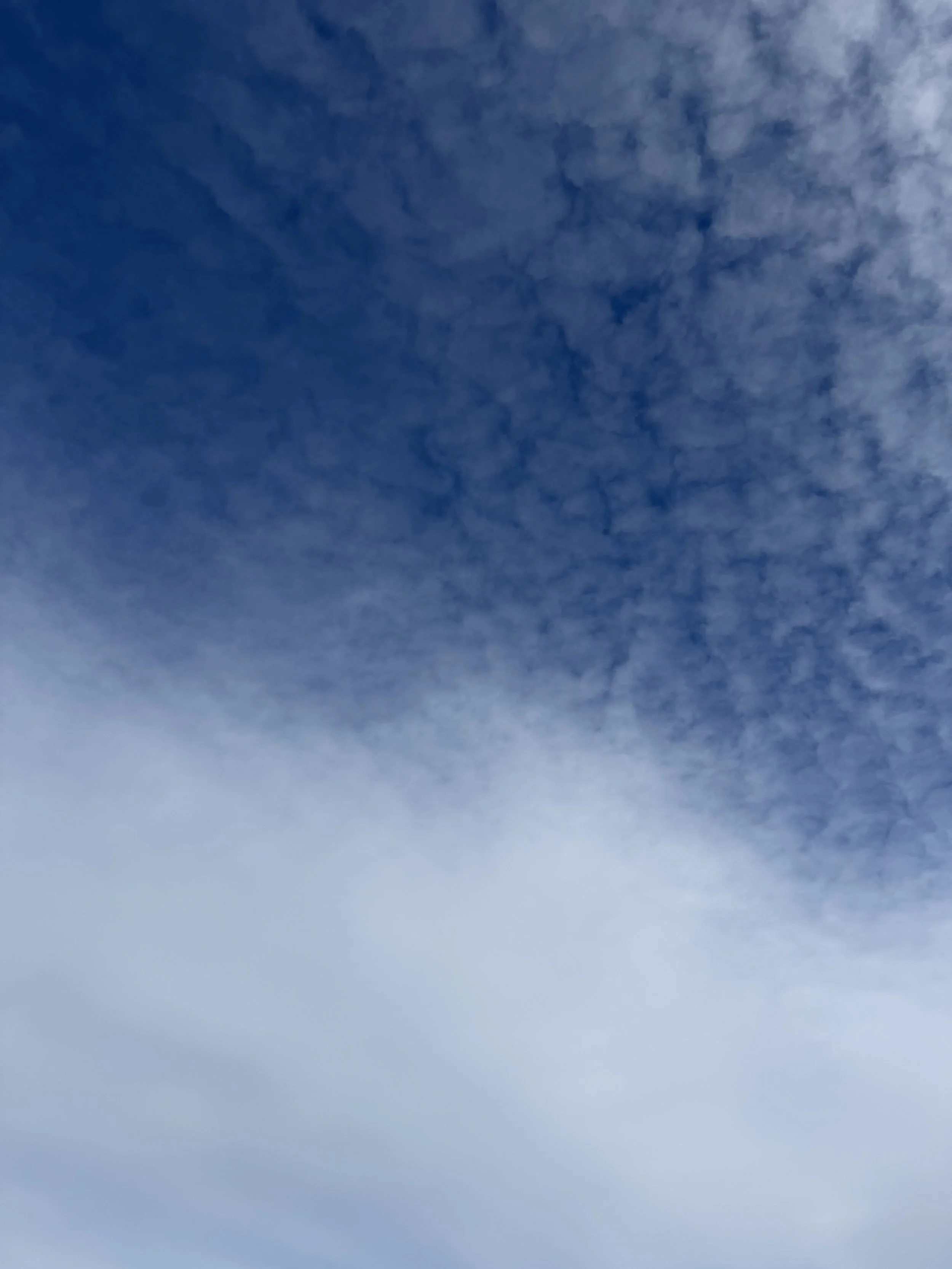 Week of February 23rd - March 1st 2026