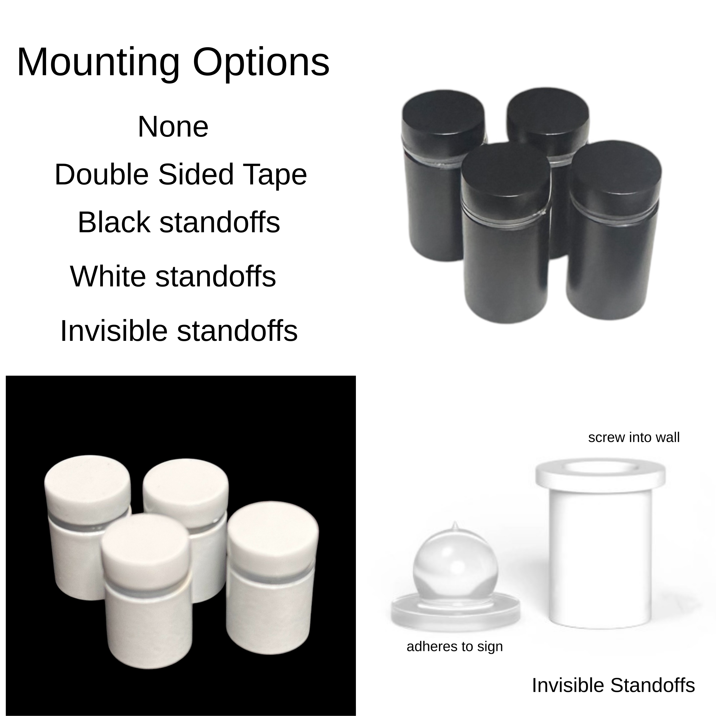 Mounting Options.png