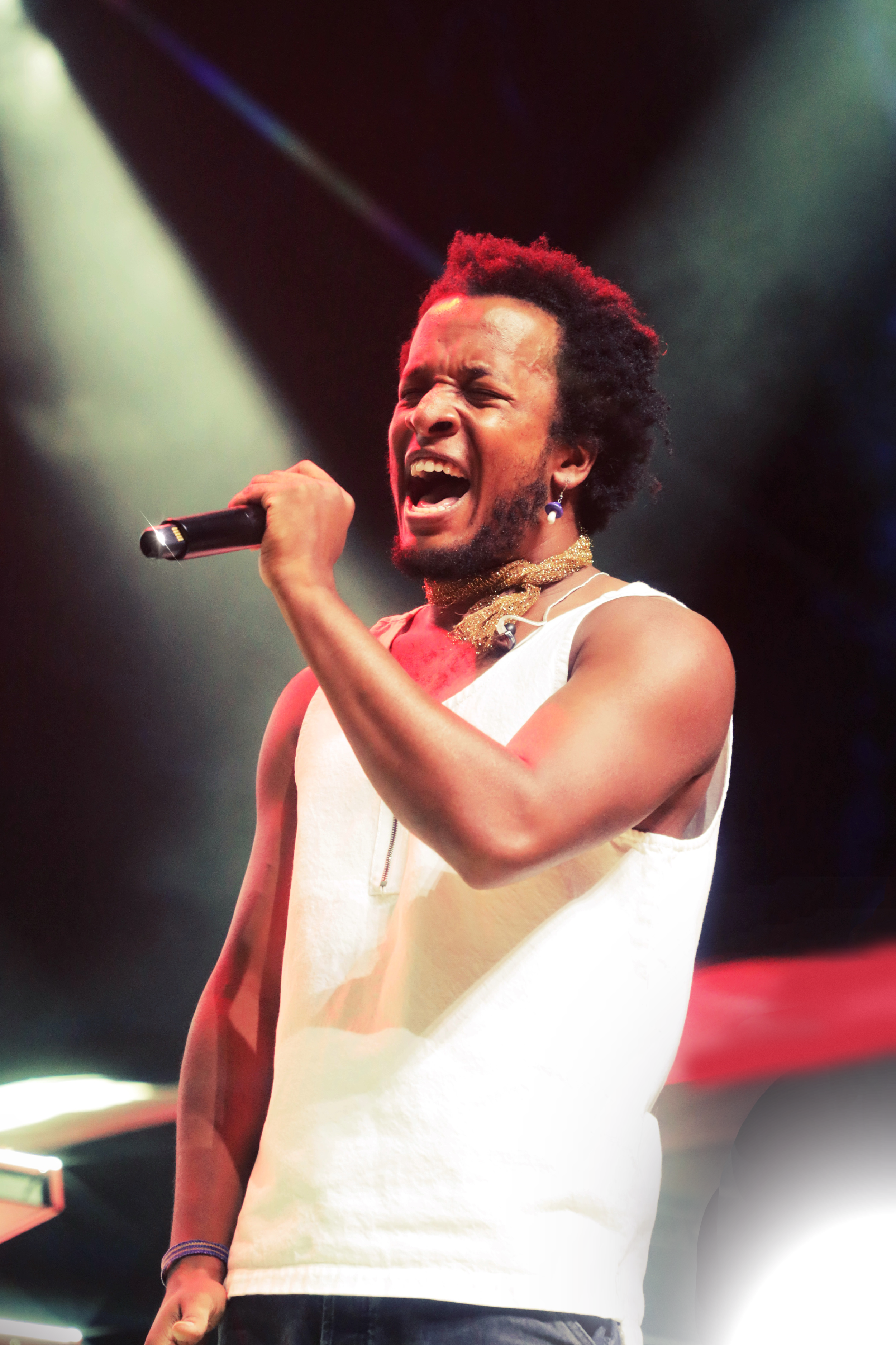 Untitled_Artwork 3.PNG