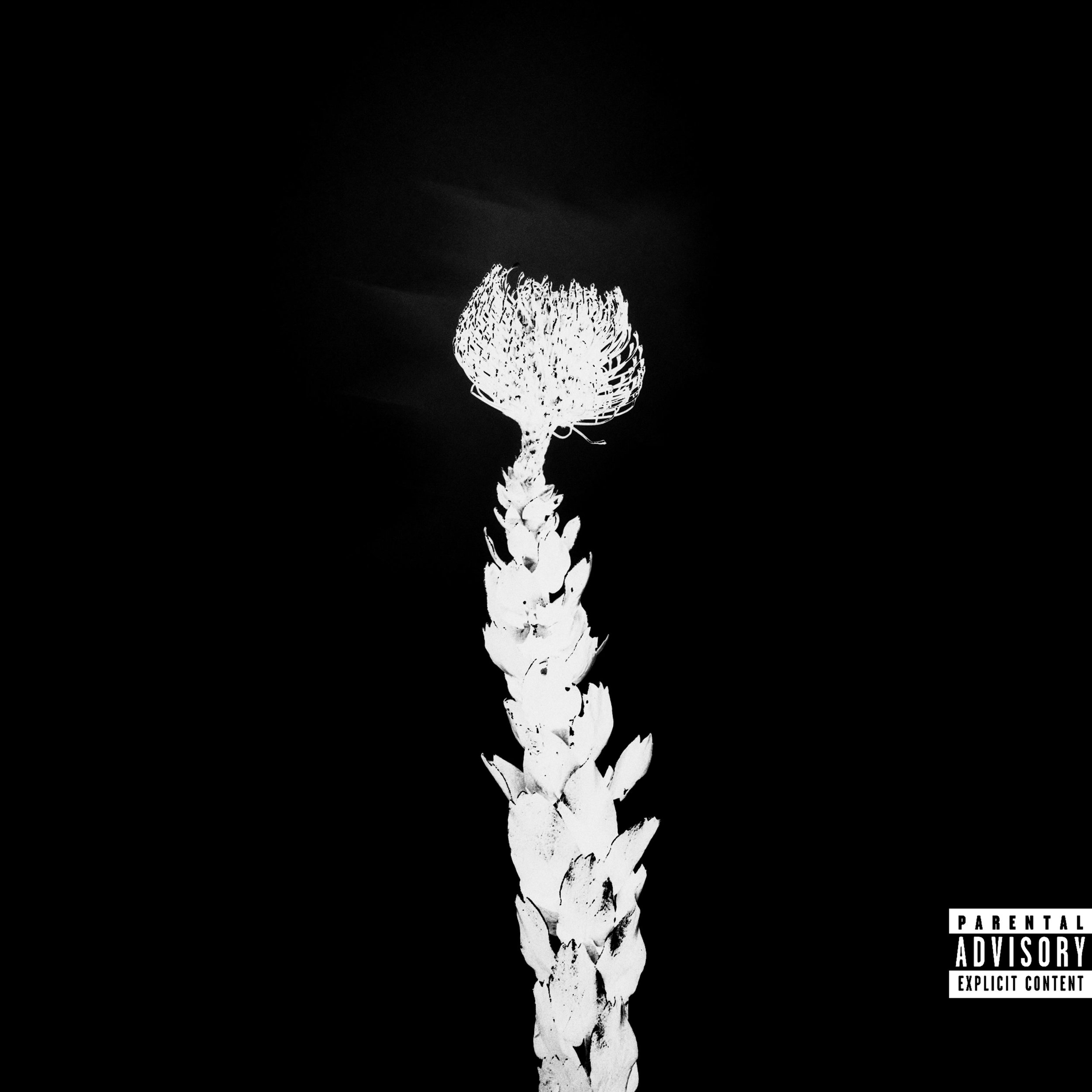 ICU MUSIC COVER ART