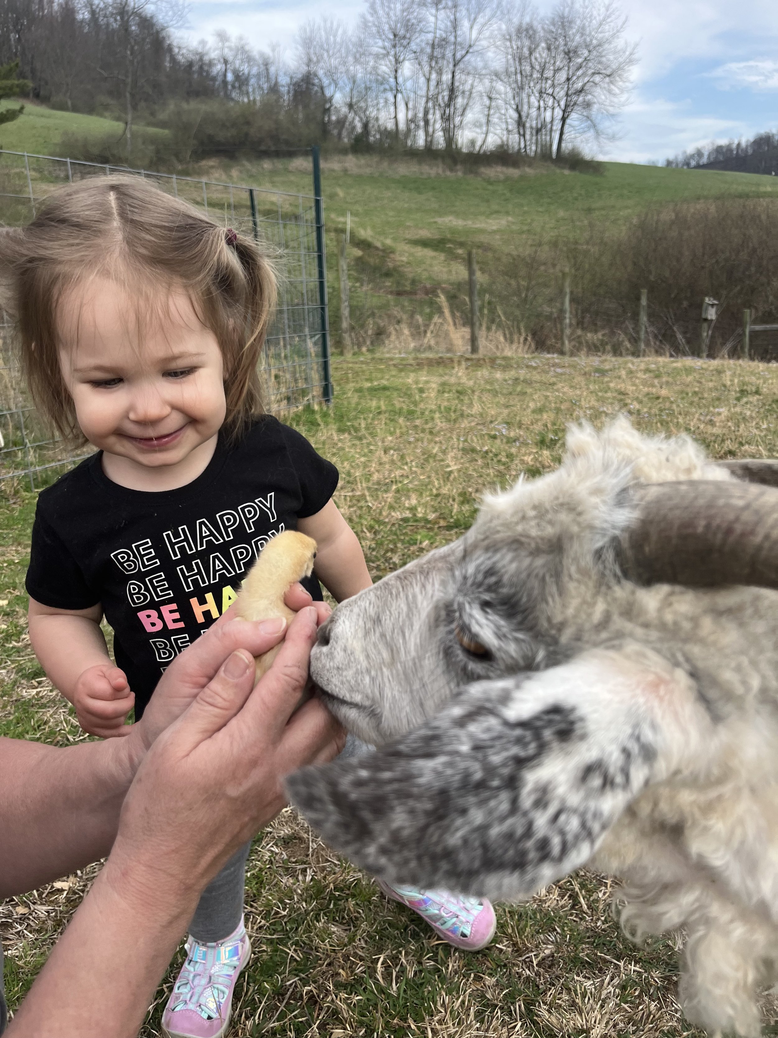 Classes — The Art Barn at Running Creeks Farm