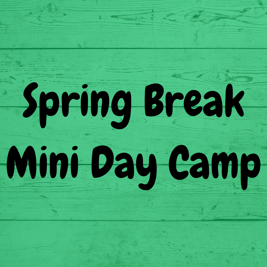 Spring Break Mini Day Camp - April 2, 9am-1pm - Ages 6-12