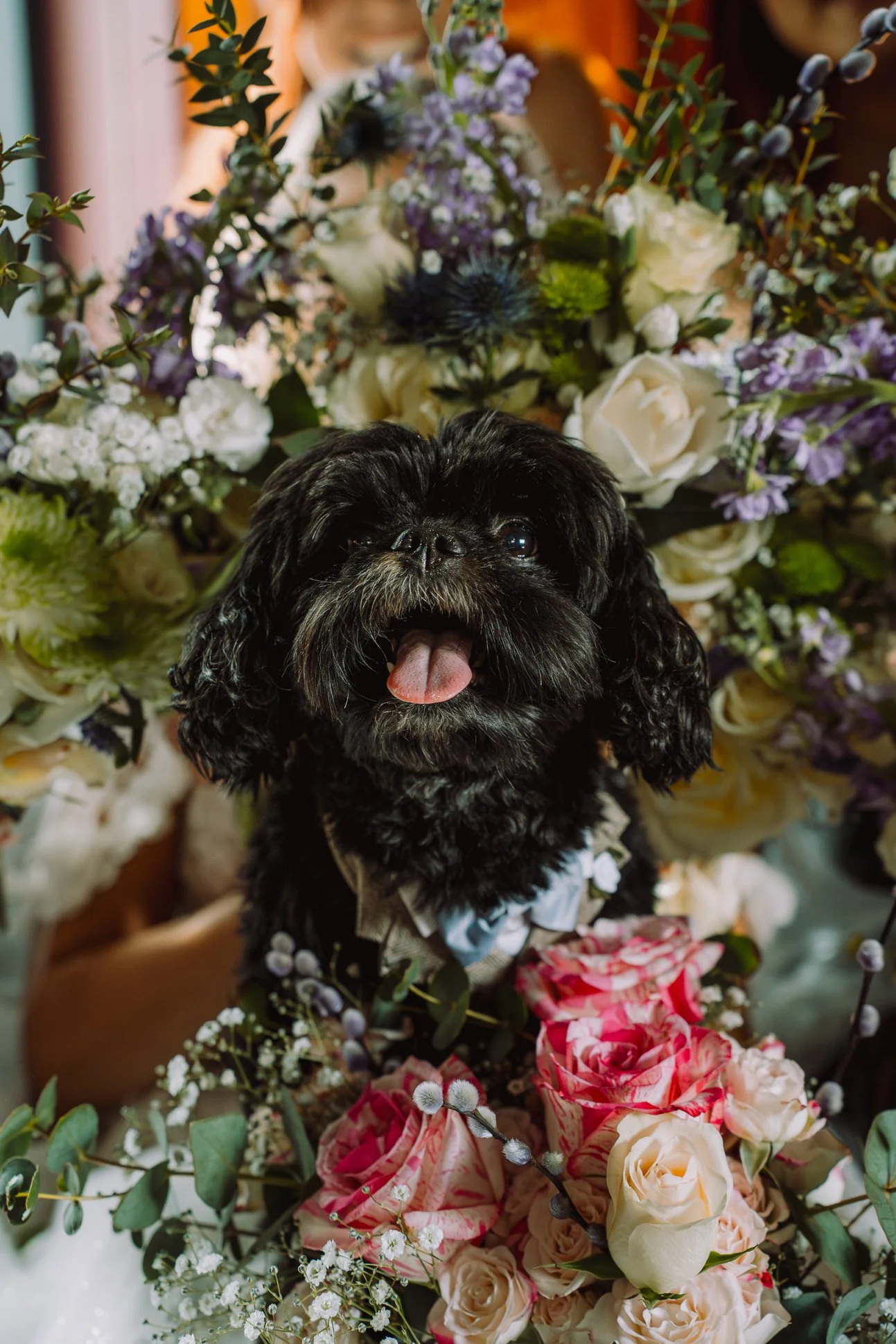 Heatherwoodphotography-108.jpg