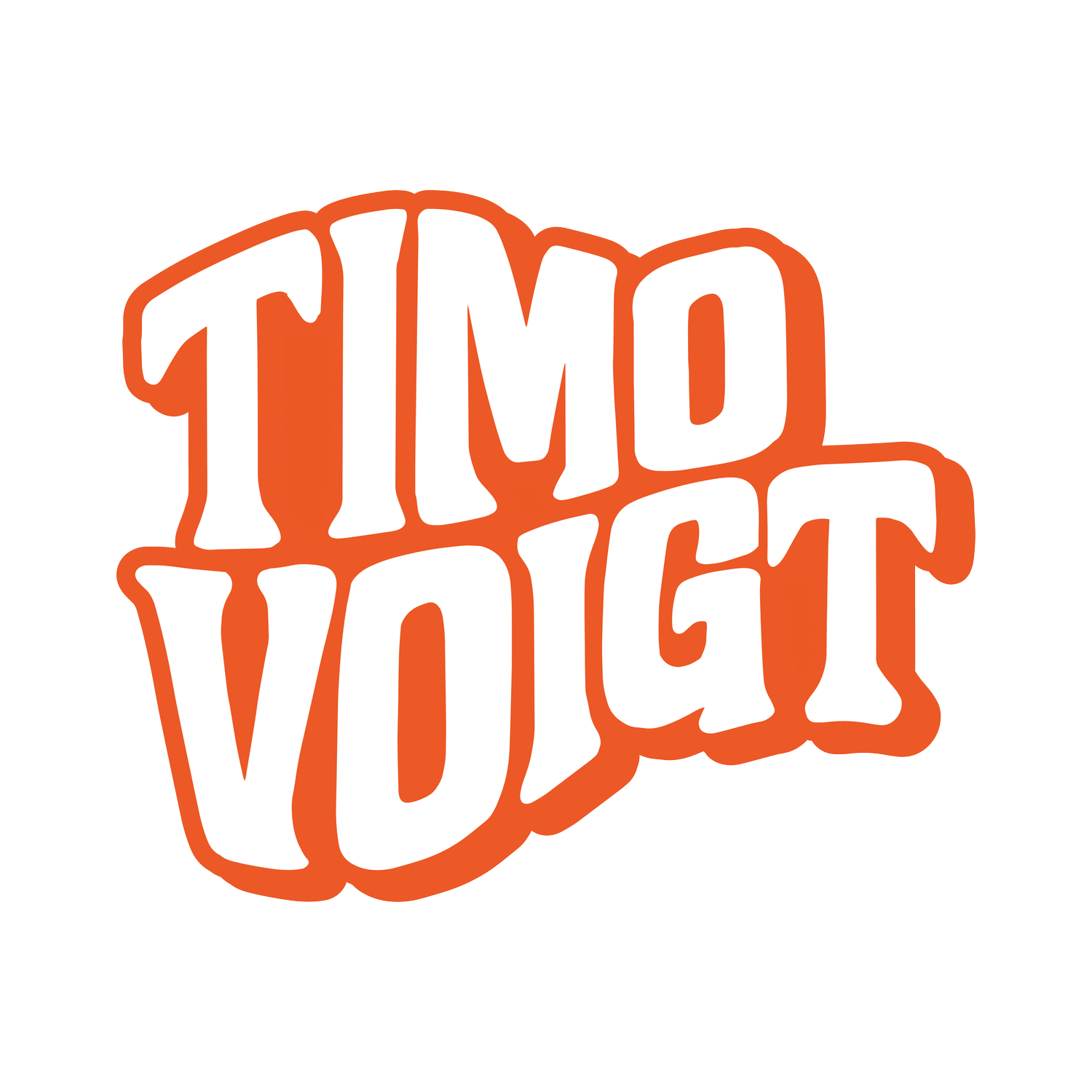 Timo Voigt
