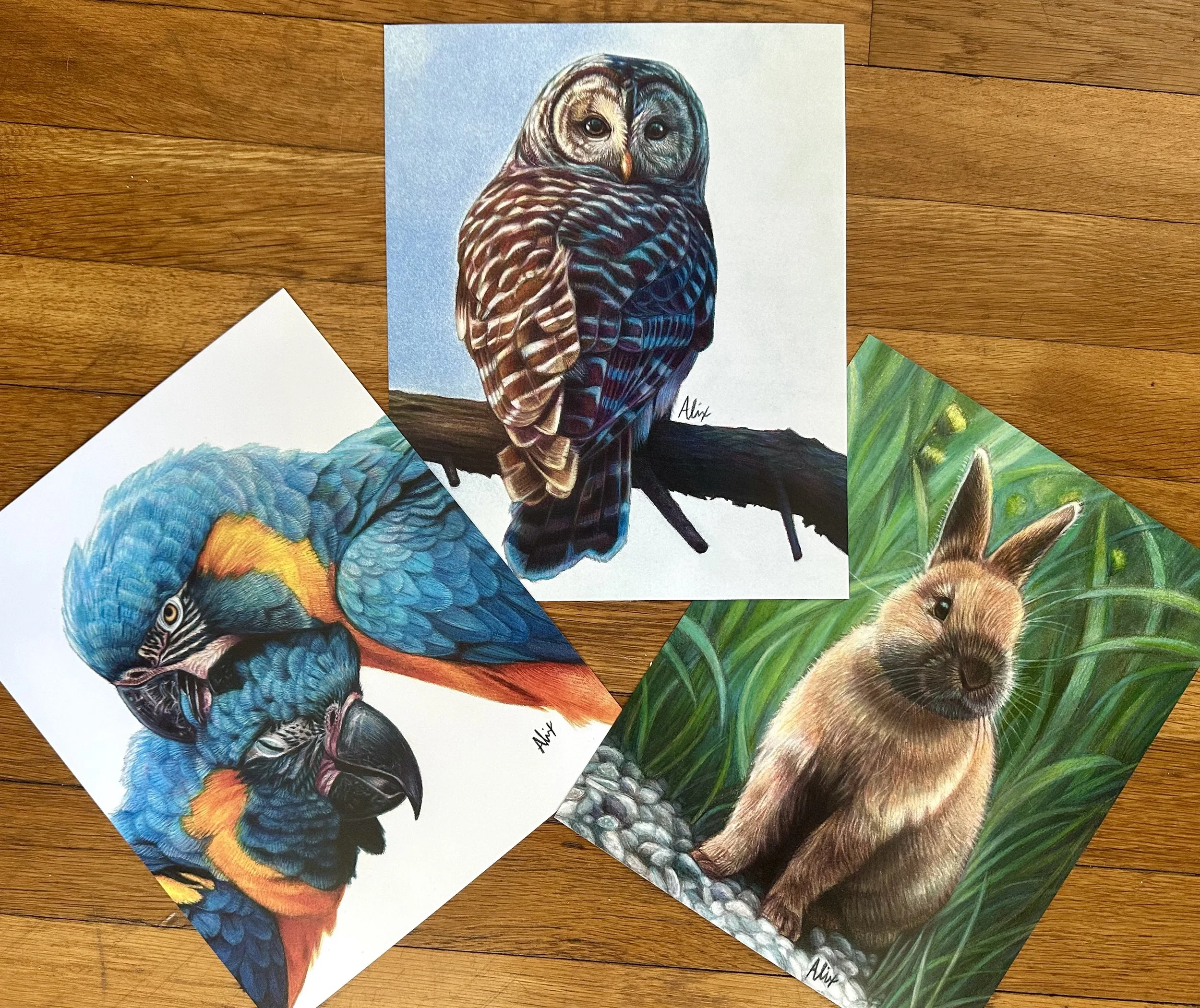 AlixFuerstPortraitArtist_2 - Alix Fuerst.jpeg