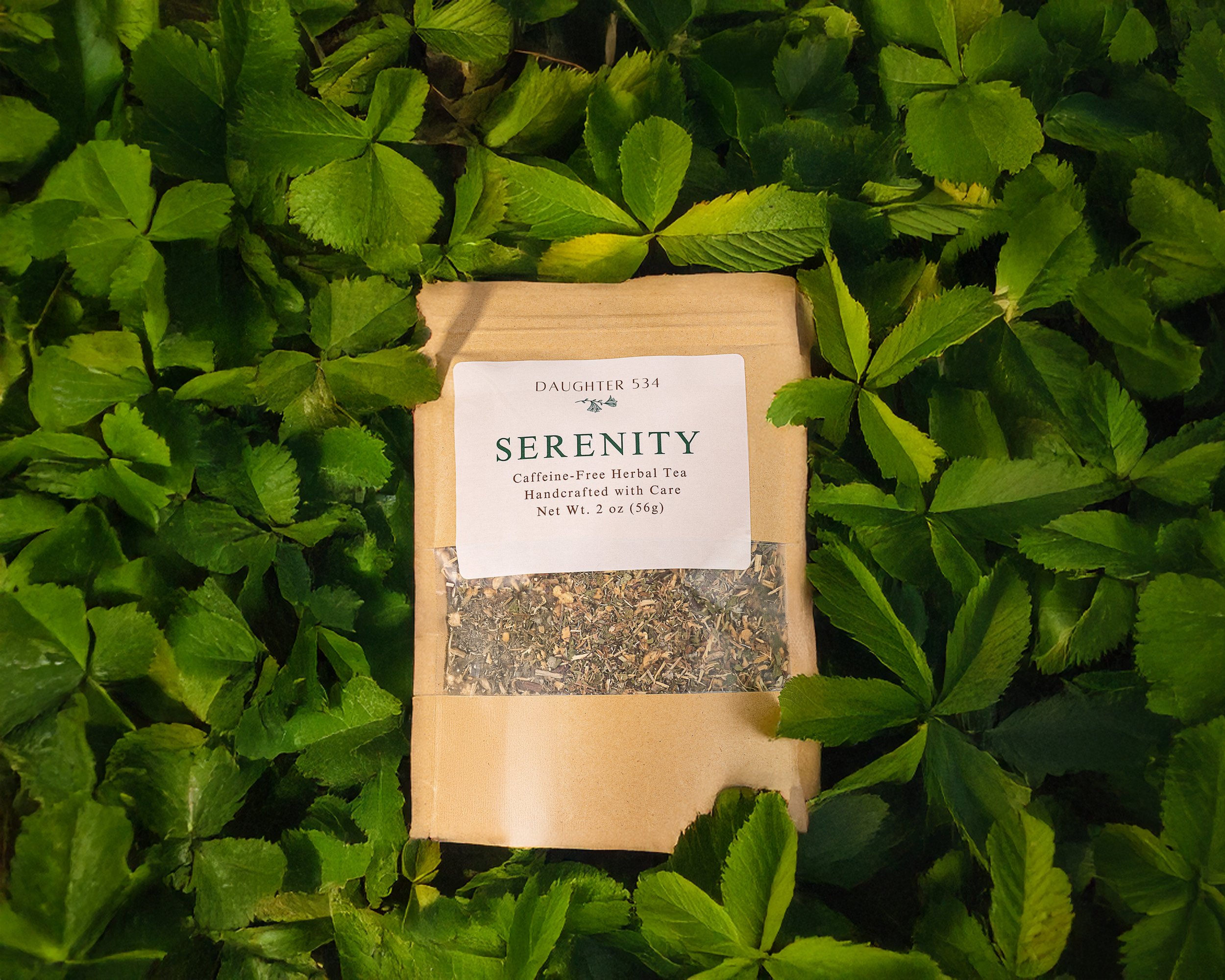 CURRENT POP-IN // DAUGHTER 534 @ MERRIMACK ST // LOWELL, MA 