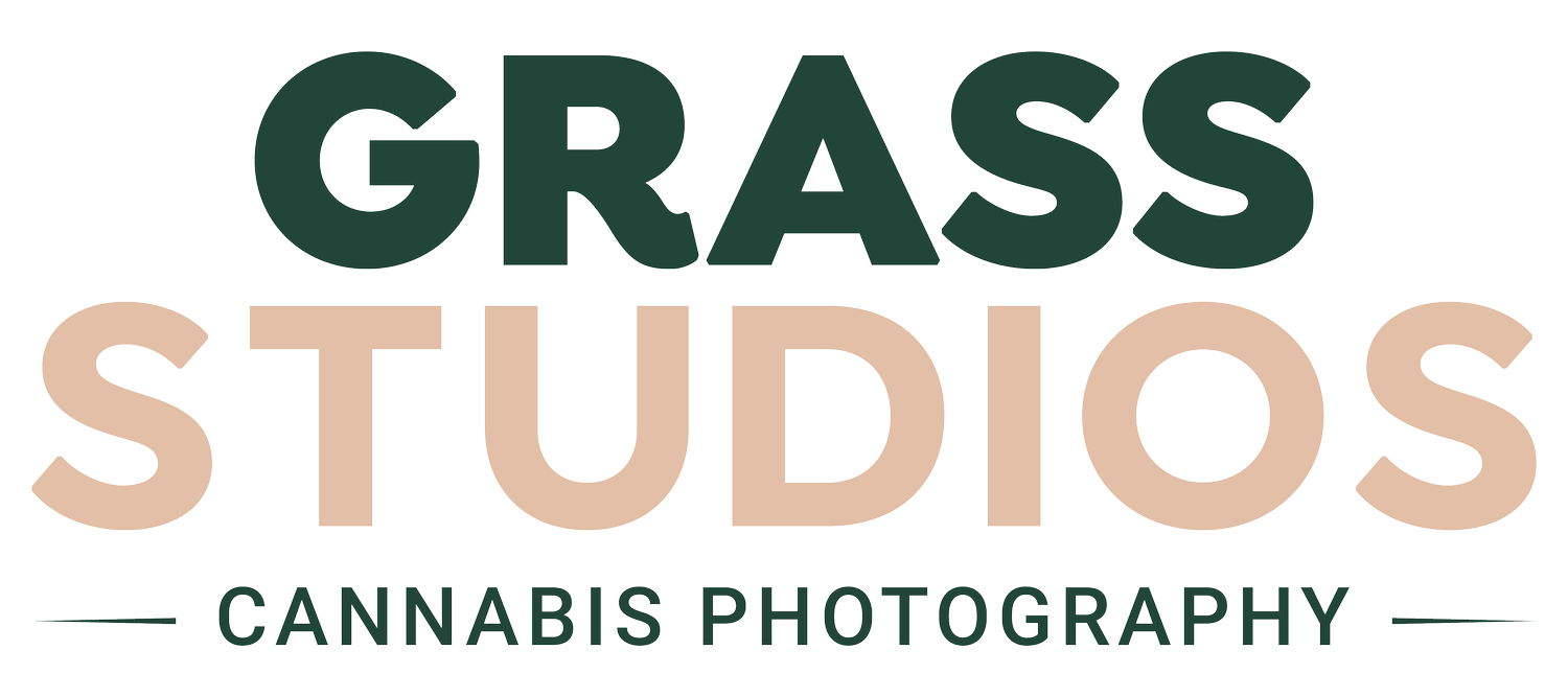 Grass Studios
