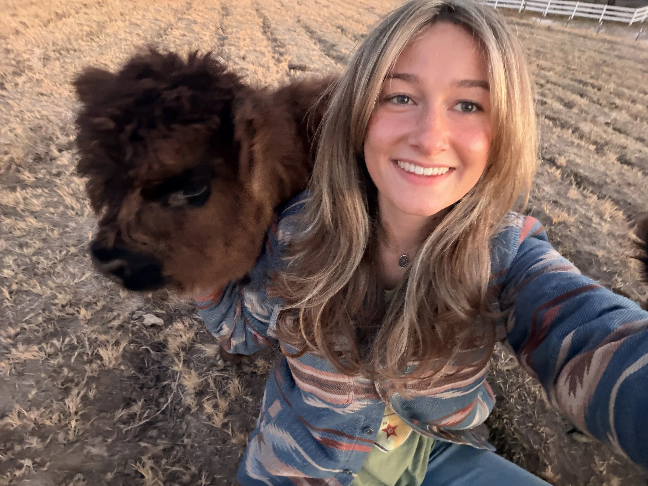 A young woman taking a selfie with a brown puppy in an outdoor field at sunset.