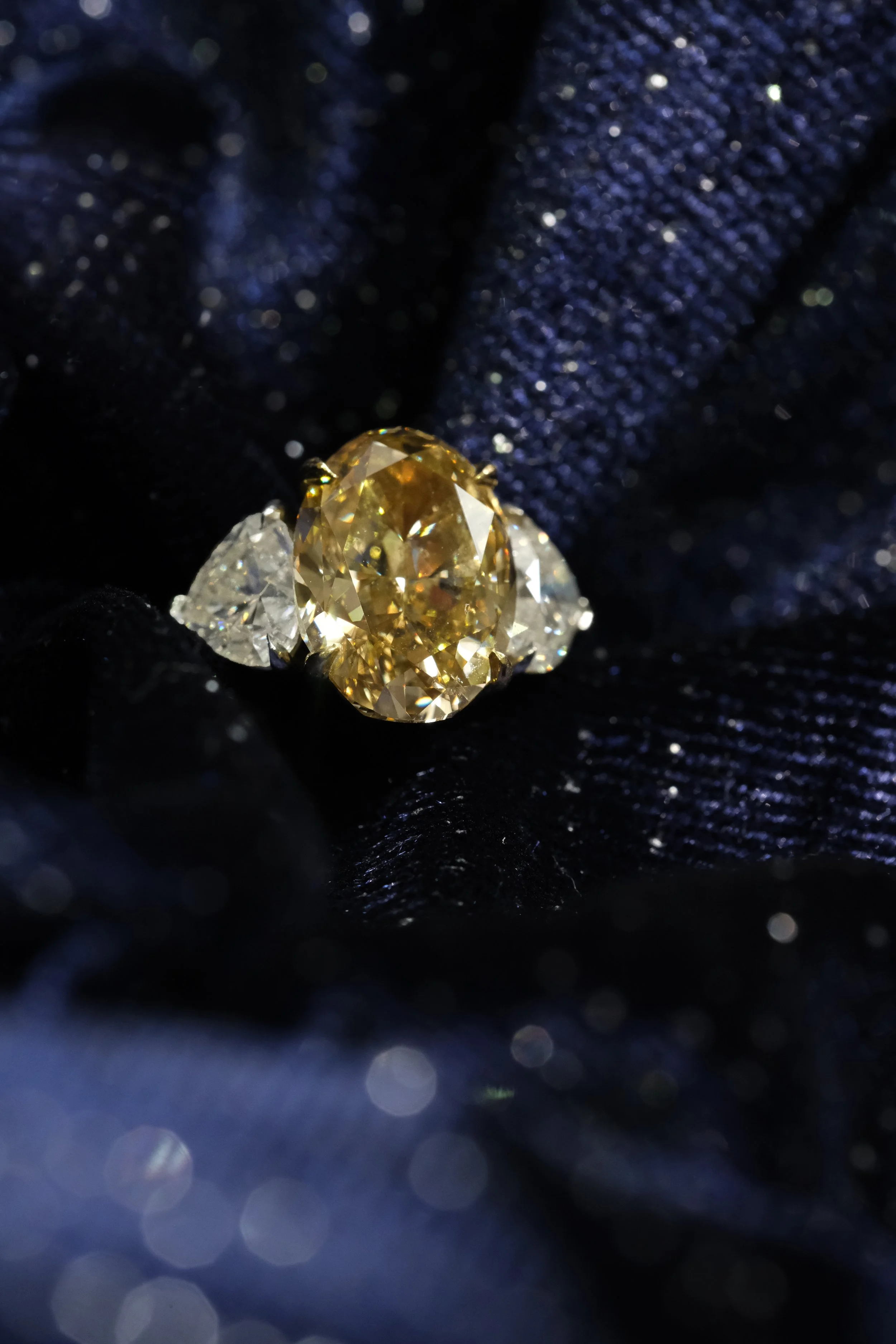 DSCF5616.jpg