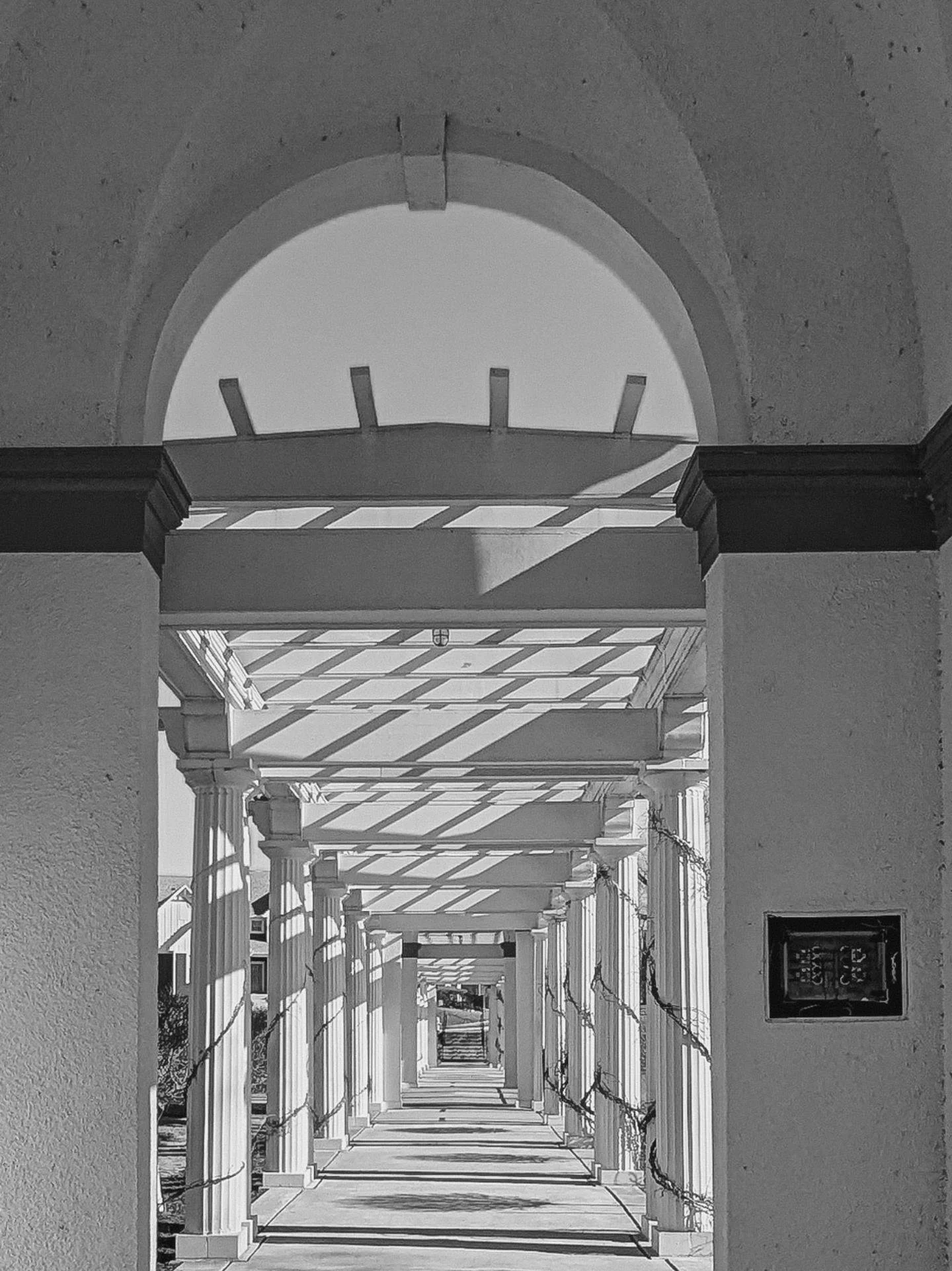 Choosing a photoshoot location is a little like choosing the vibe for your favorite playlist 🎶
It sets the mood. It tells the story. It makes everything feel right.
🌿 Love connection + cozy? Think open fields, tall grass, or your own front porch.
?